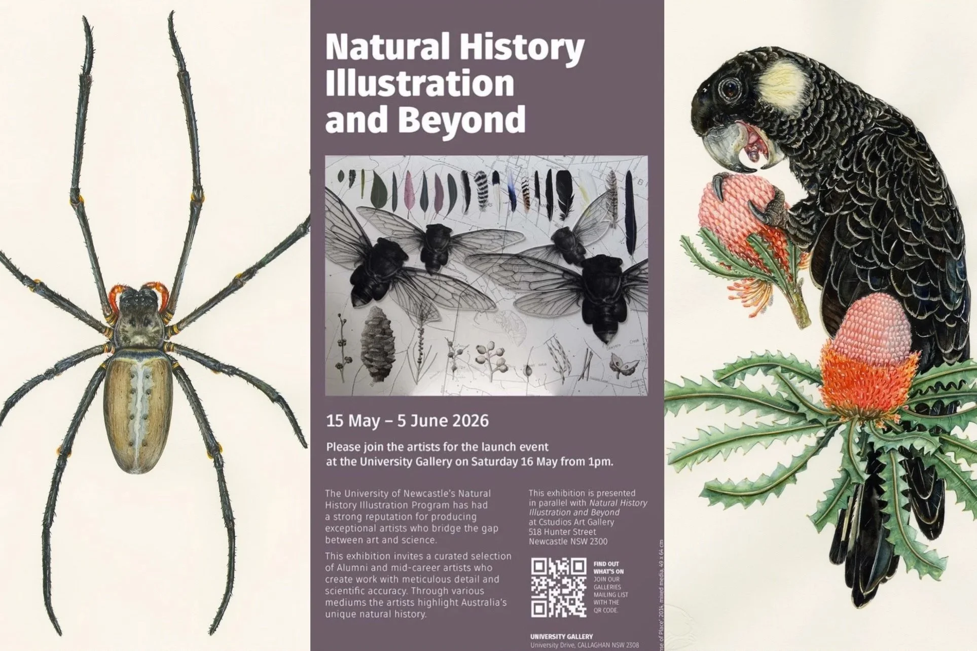 Exhibit – Natural History Illustration and Beyond