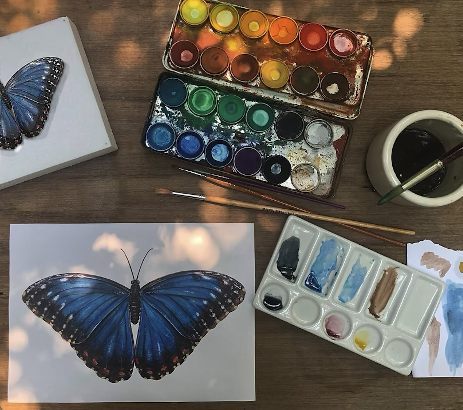 Sydney (Annandale) – Entomology Art Workshop