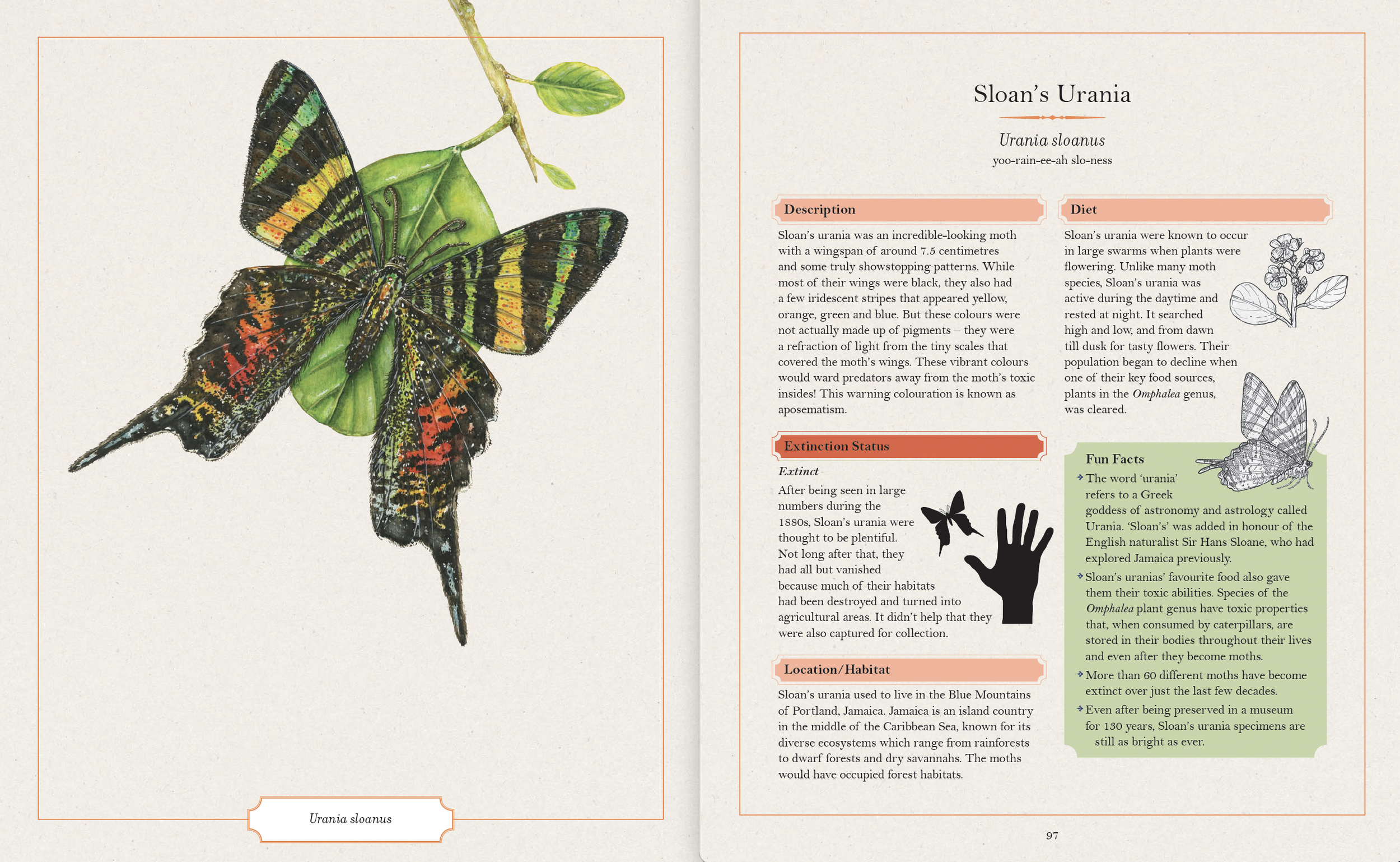 Screen Shot 2024-08-20 at 8.01.12 pm.png