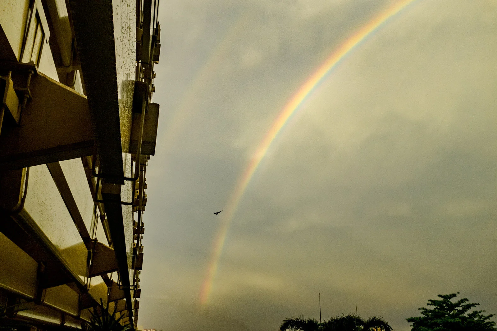 230_Sri Lanka_www.samwalzade.com.JPG