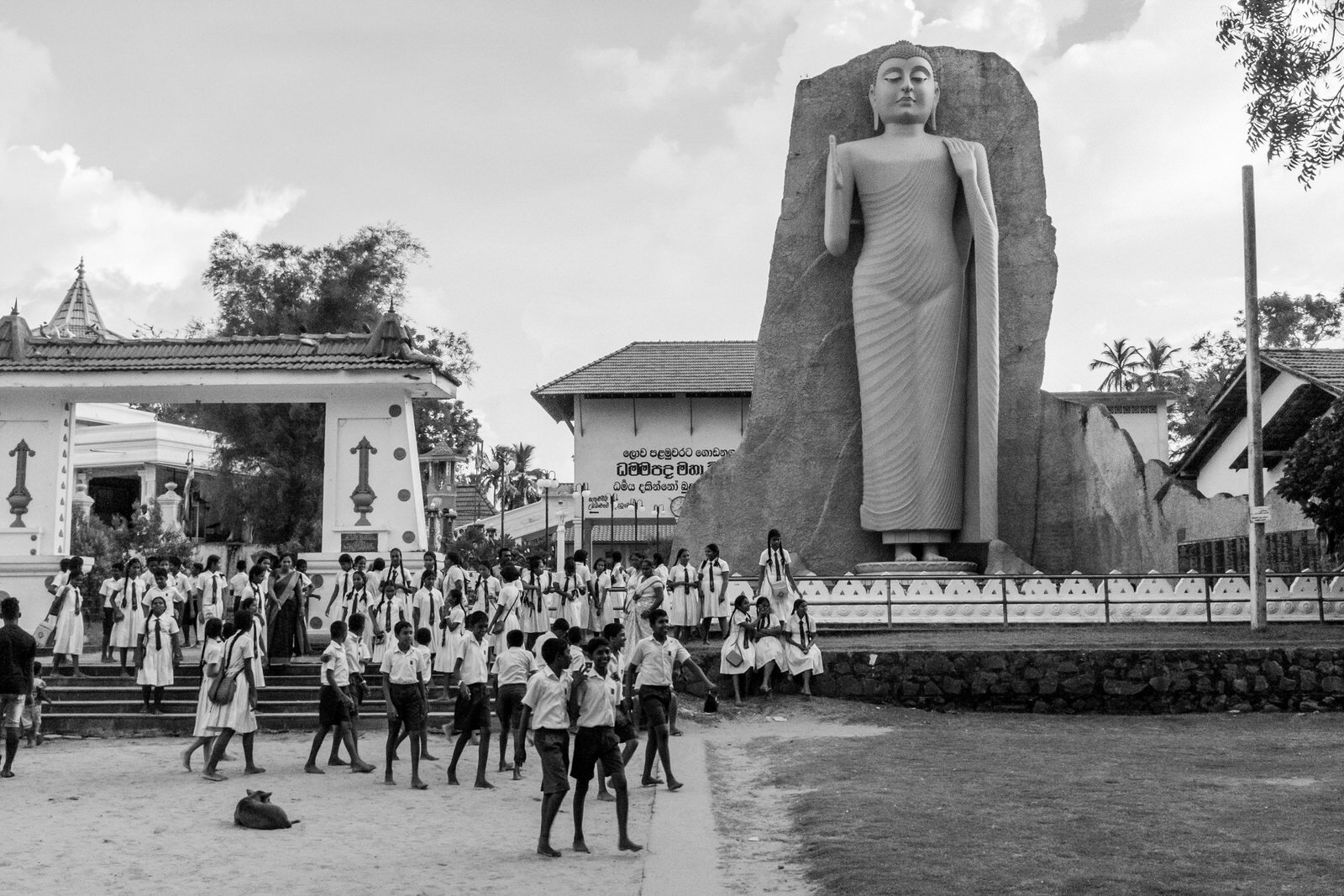 159_Sri Lanka_www.samwalzade.com.JPG