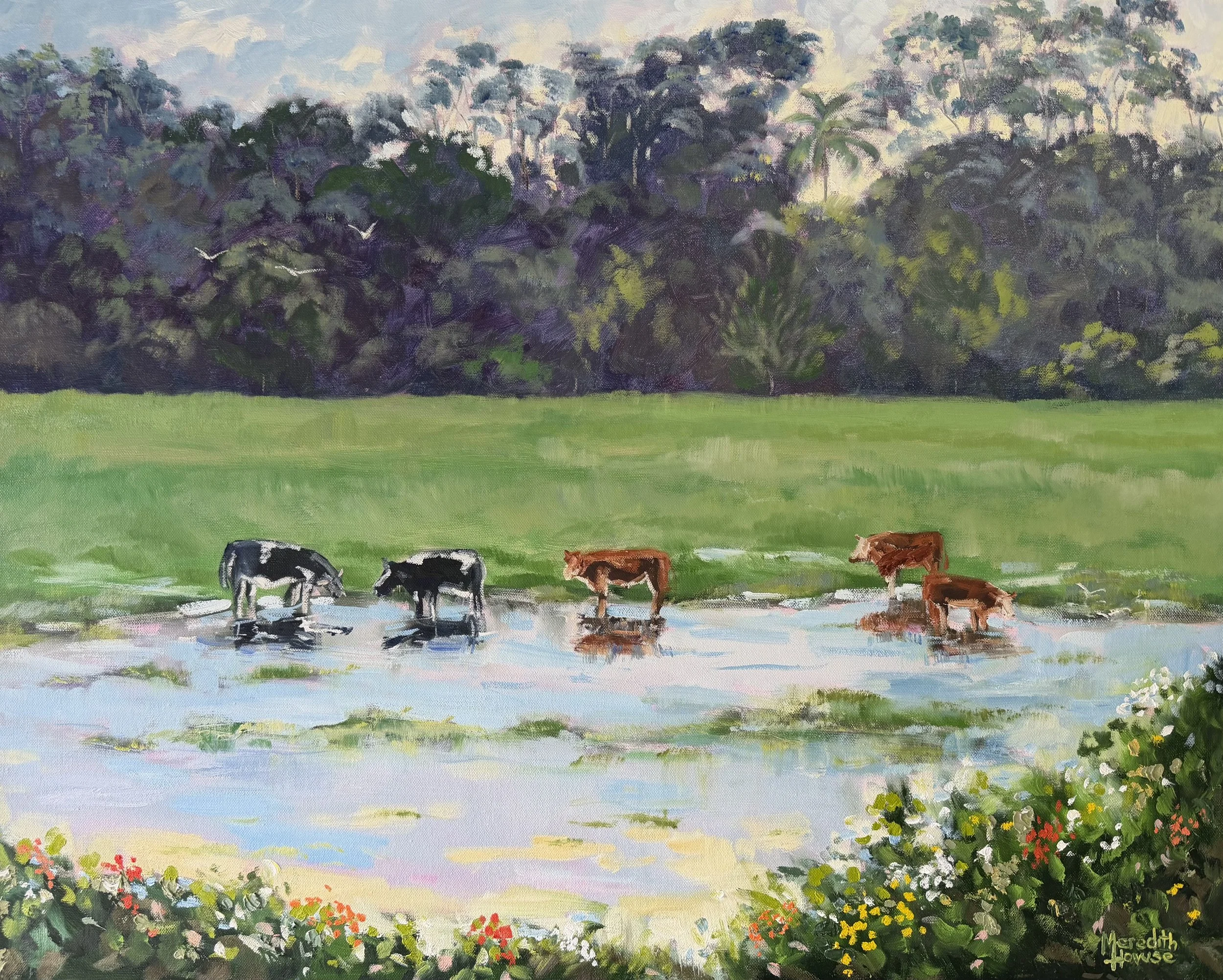 Murphy's Dairy Farm, Everton Park