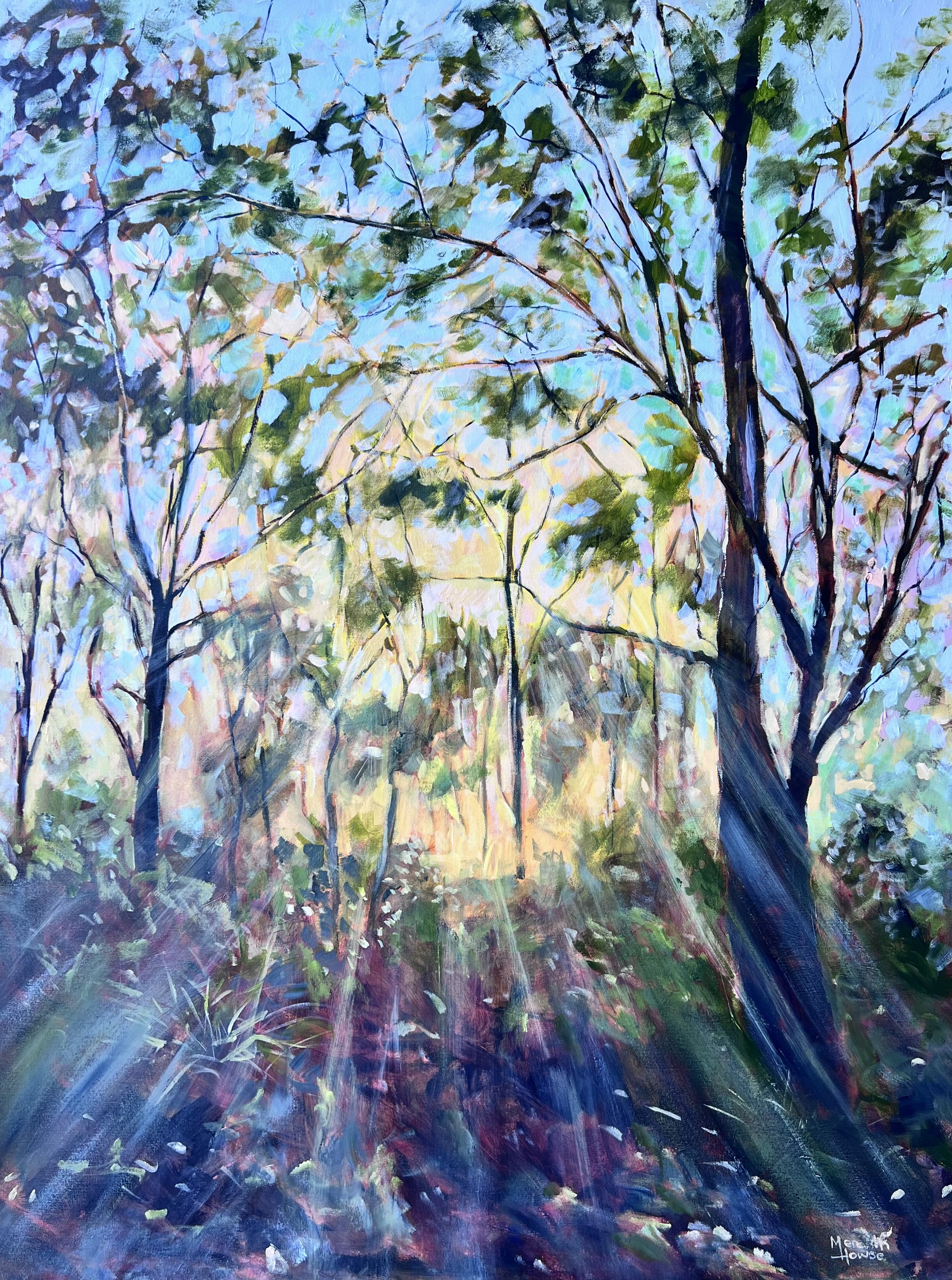 Australian Bush_Meredith Howse.jpeg