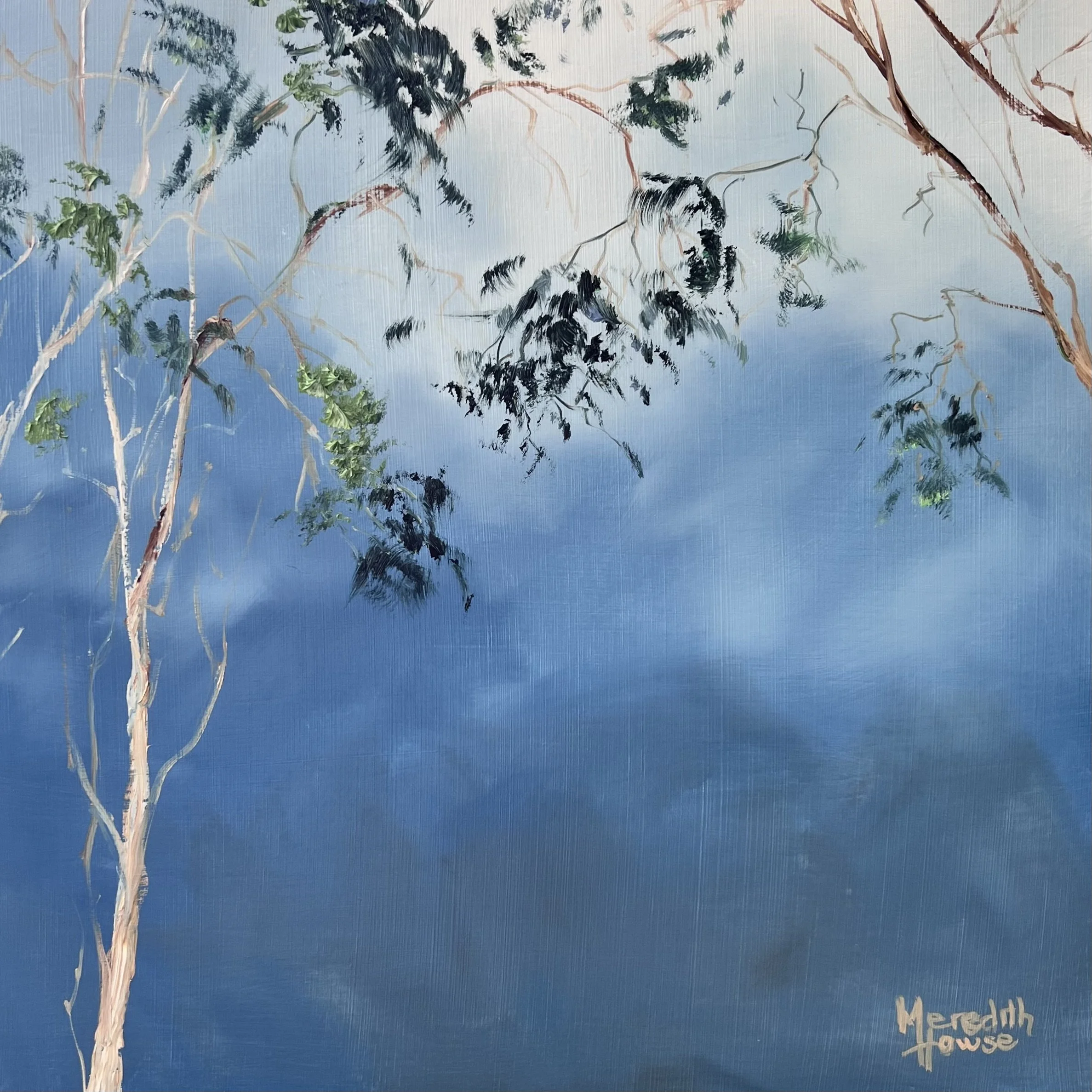 Illumination Gum Leaves_Close up.jpeg