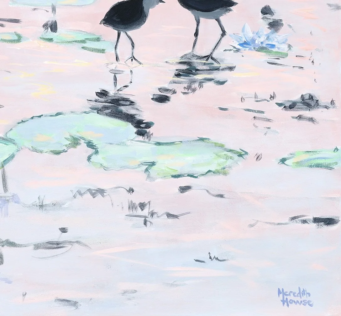 Meredith-Howse_282_Kakadu-Jacana_Competition.jpg