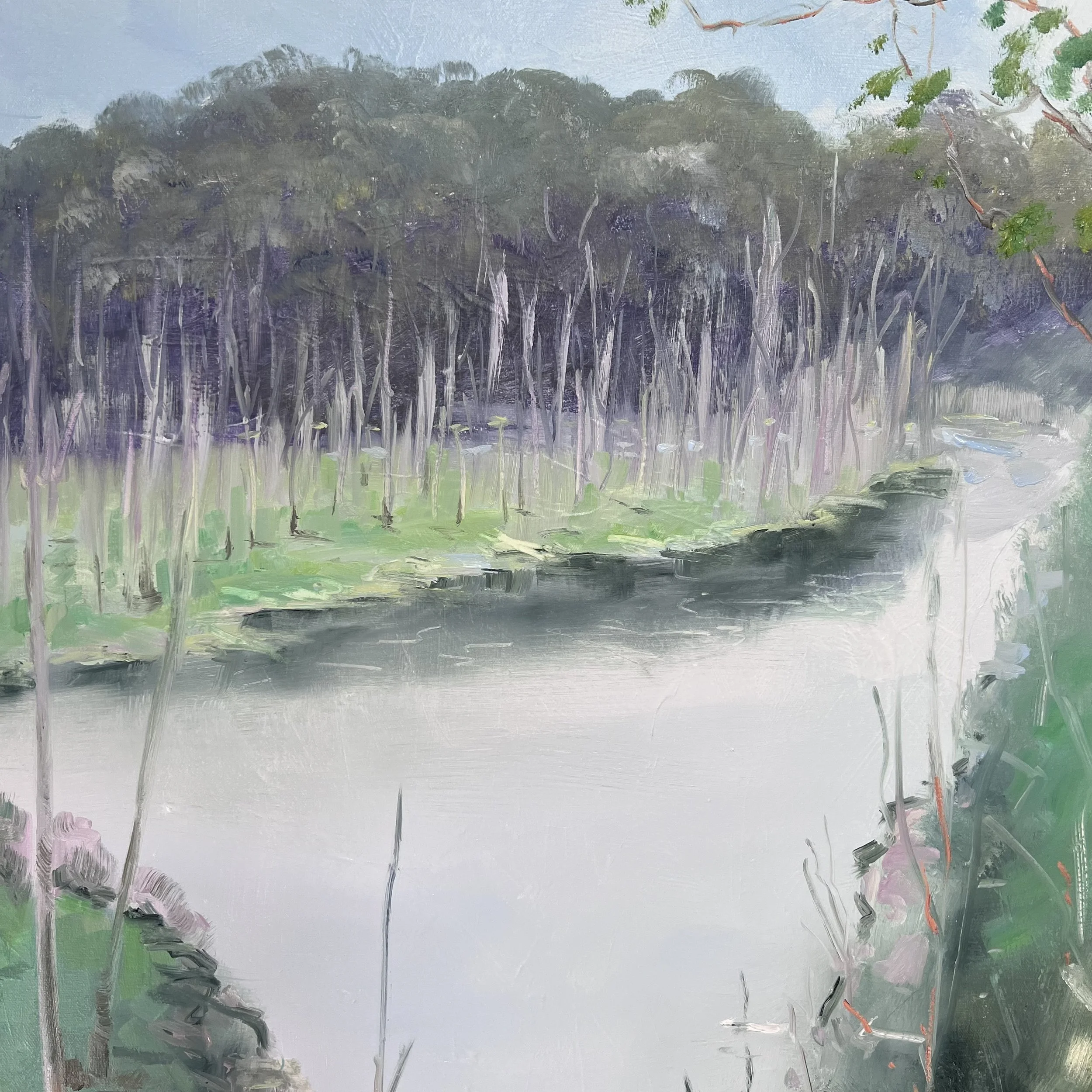 Dead Tree Marsh_Close up.jpeg