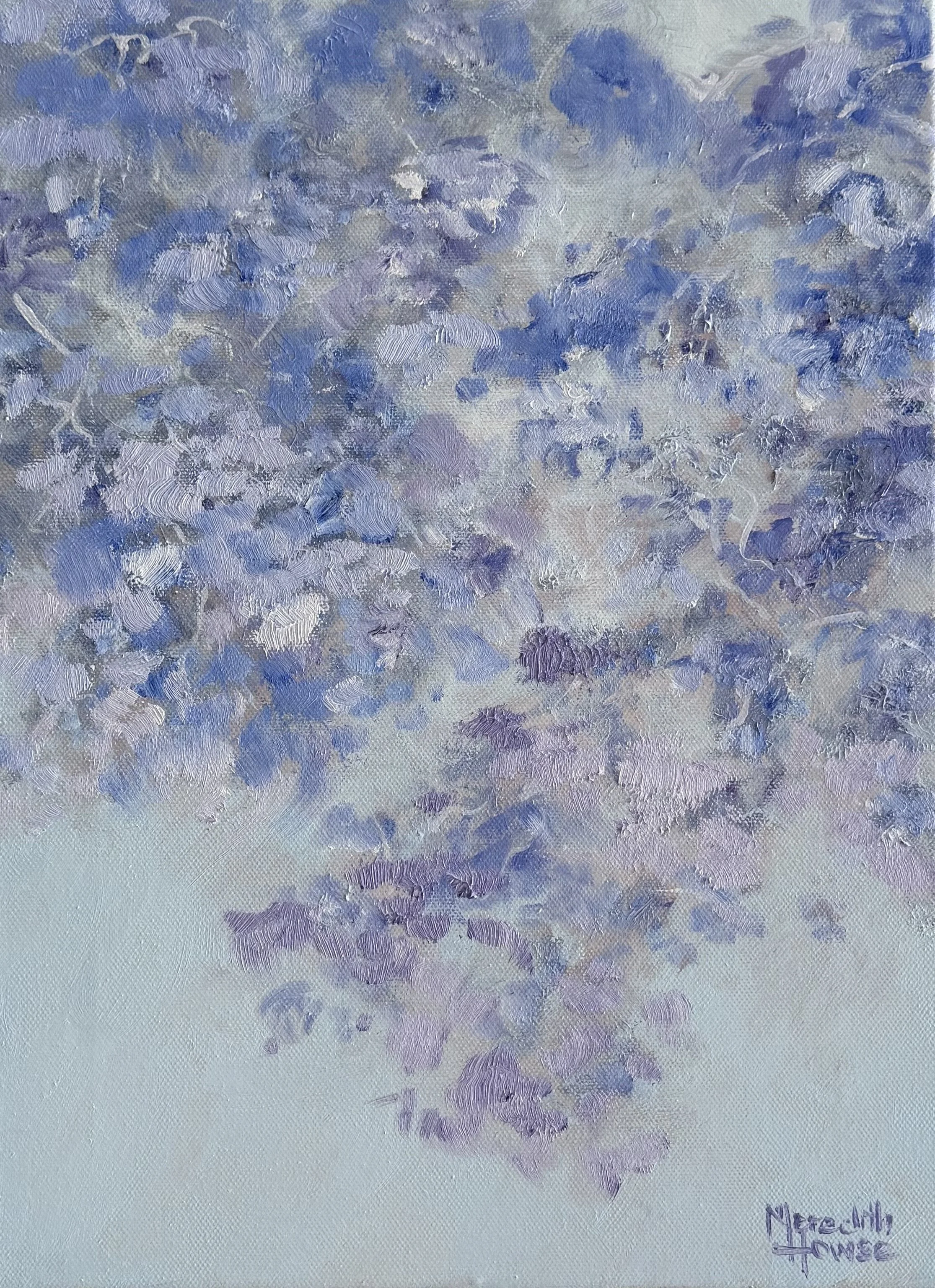 Illumination Jacarada Thoughts