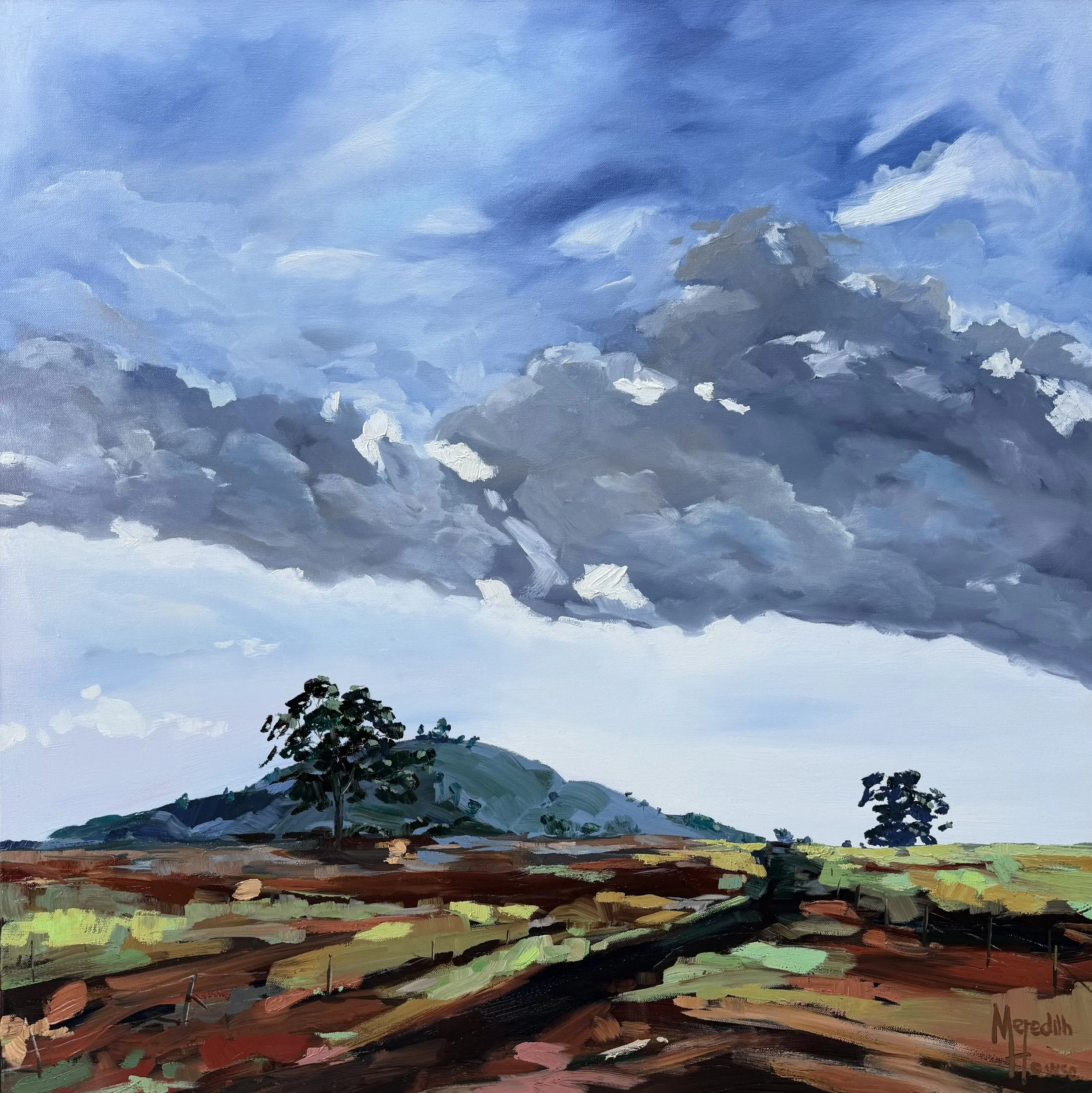 Cootamundra 2