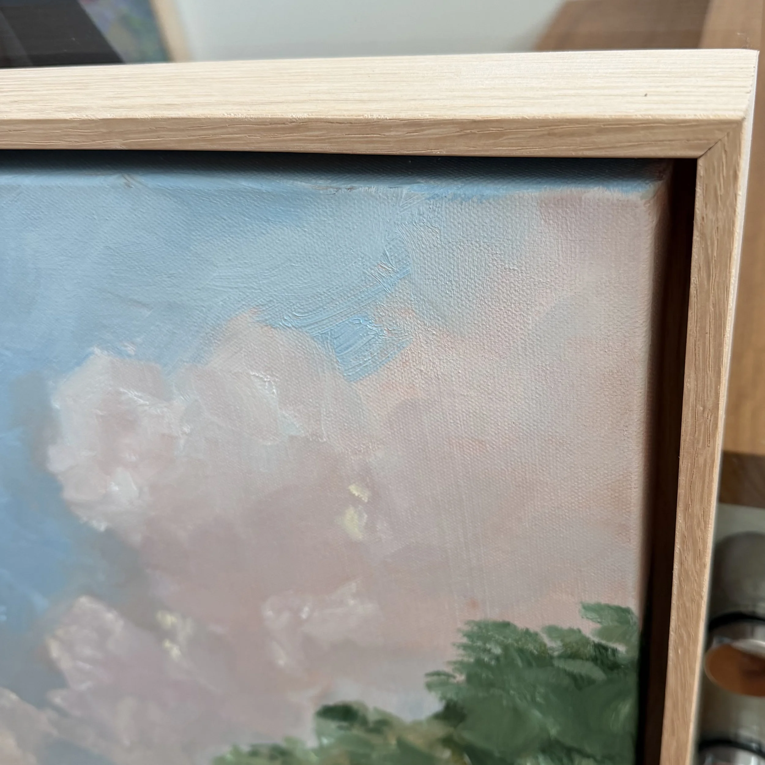 IMG_2552.jpeg