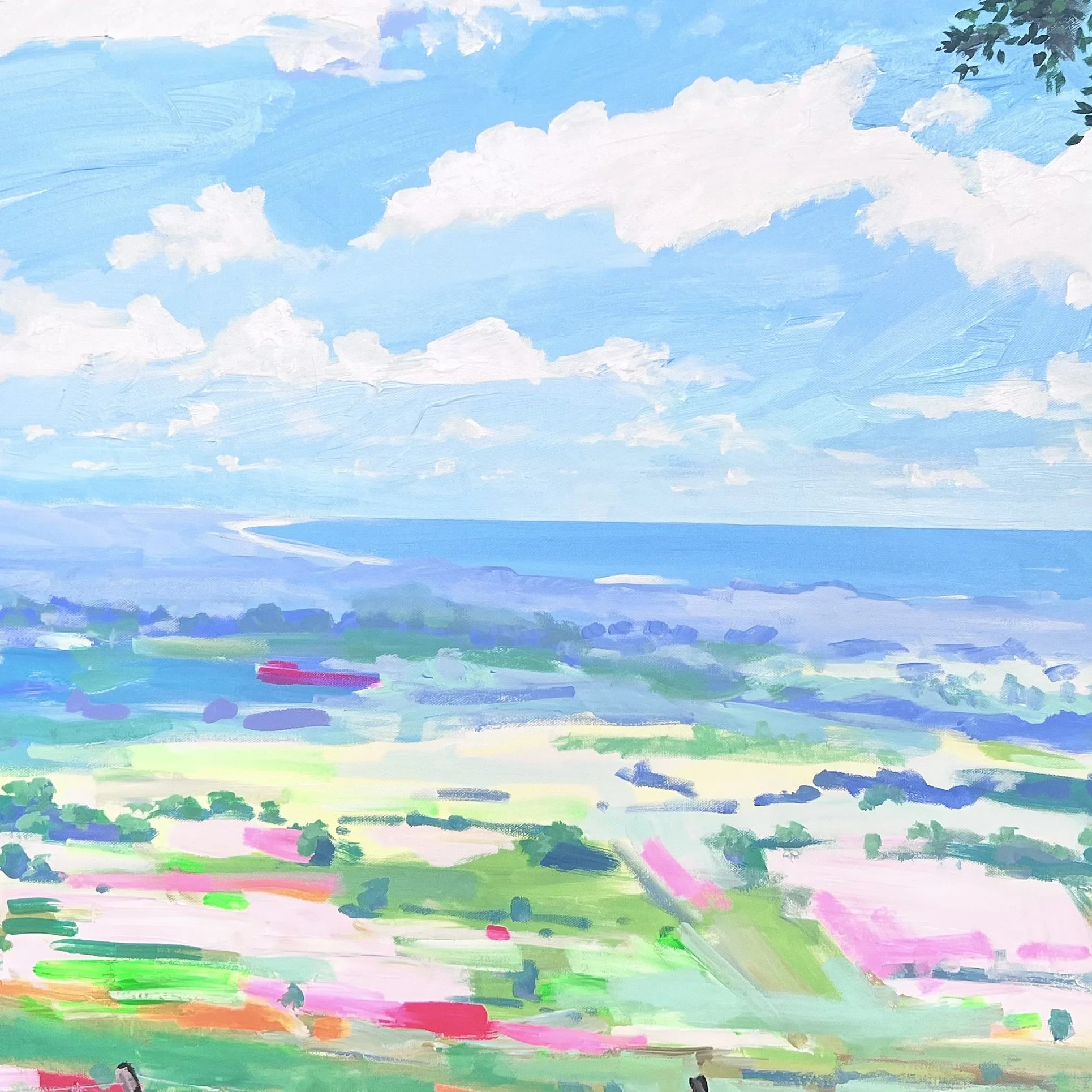 St Helena to Byron Bay_ Close-Up.jpeg