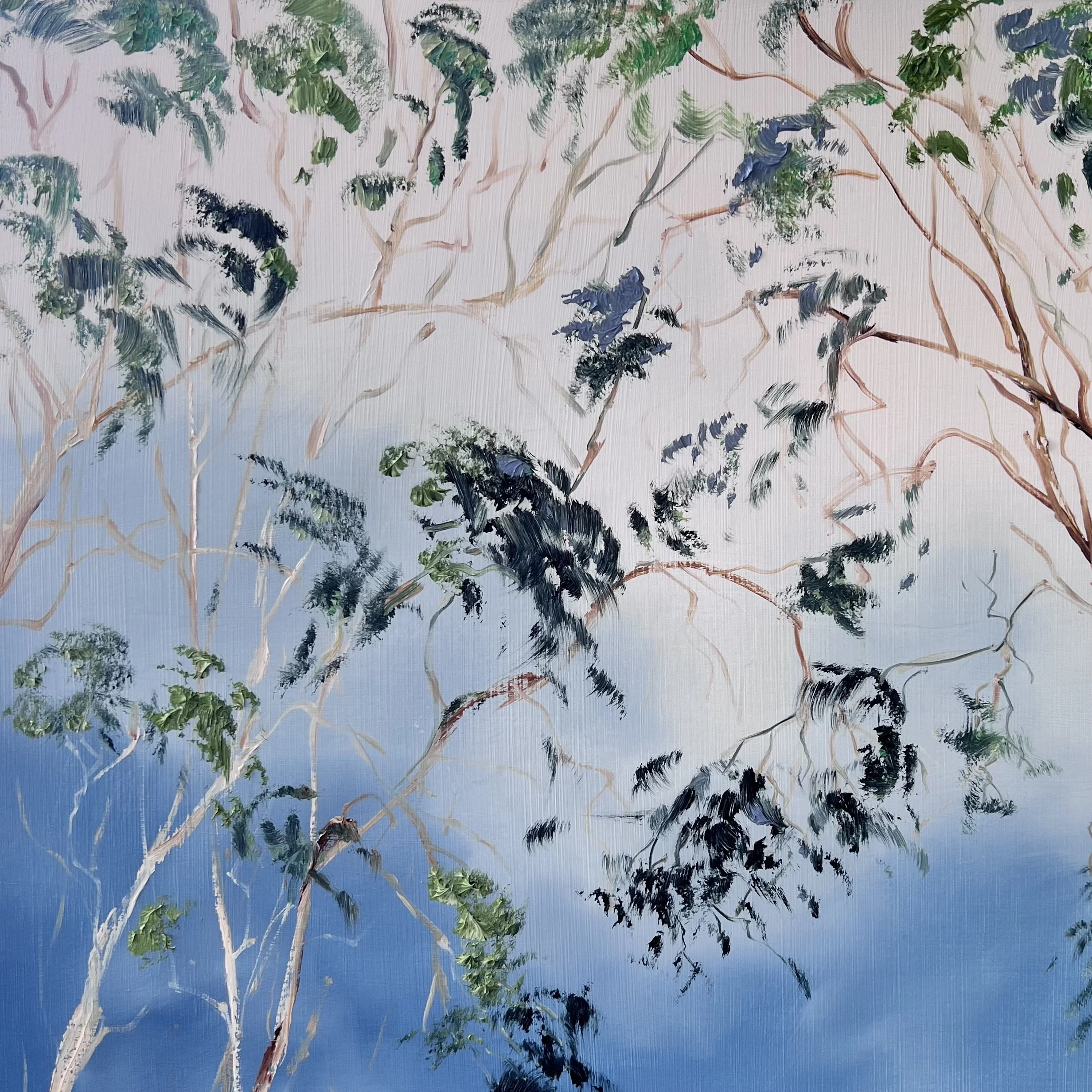 Illumination Gum Leaves_Close_Up.jpeg