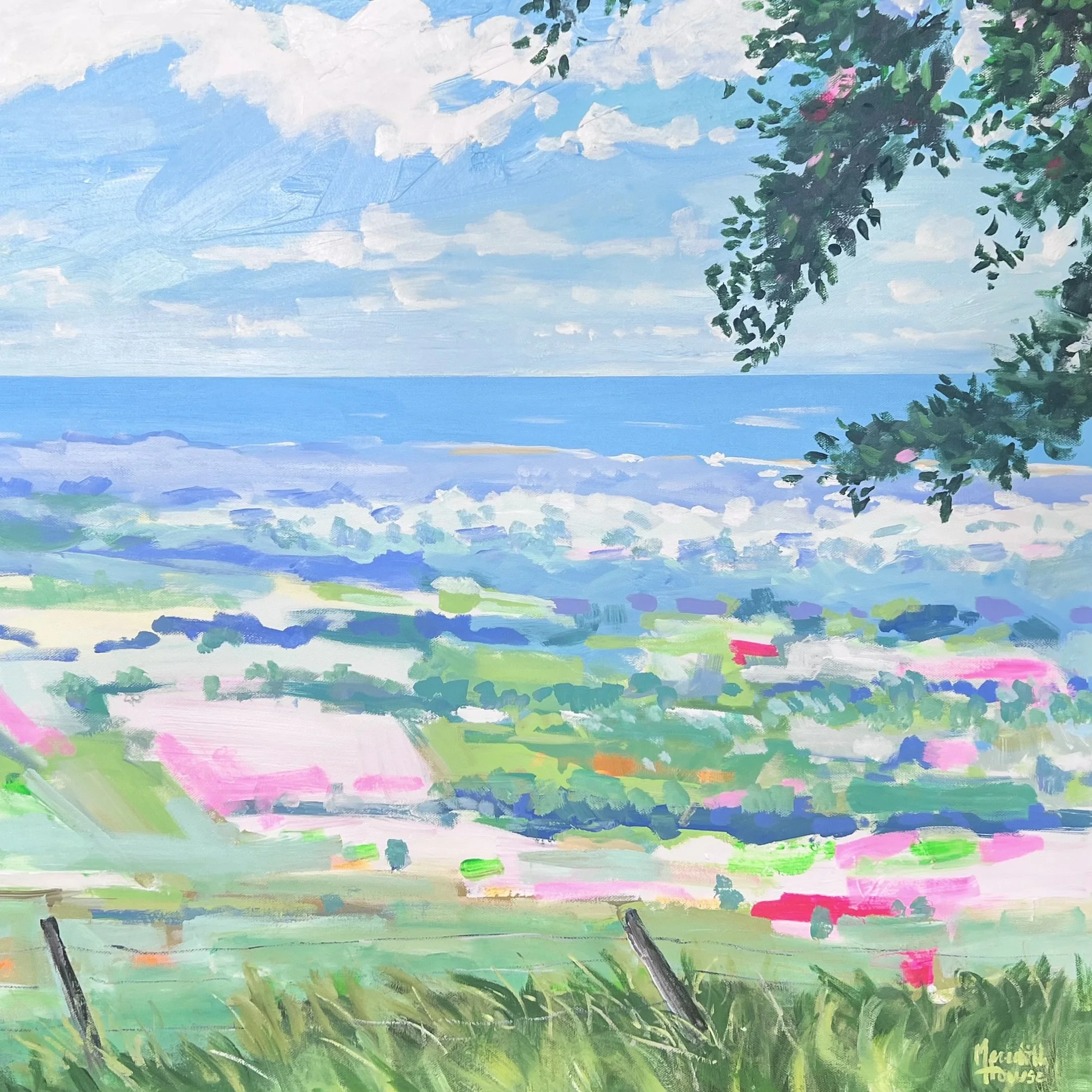 St Helena to Byron Bay close uo.jpeg