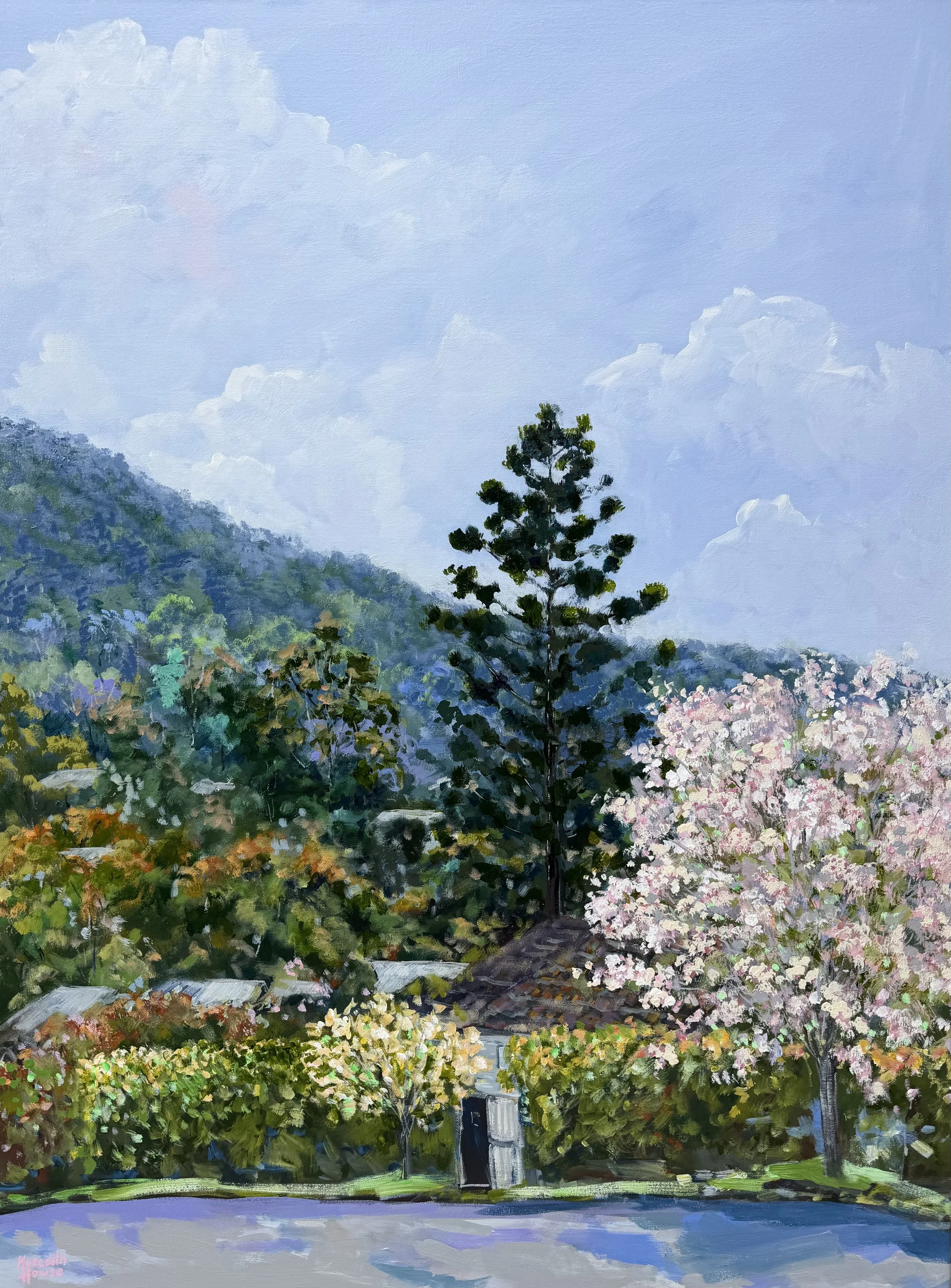 Oleander Drive Ashgrove by Meredith Howse.jpeg