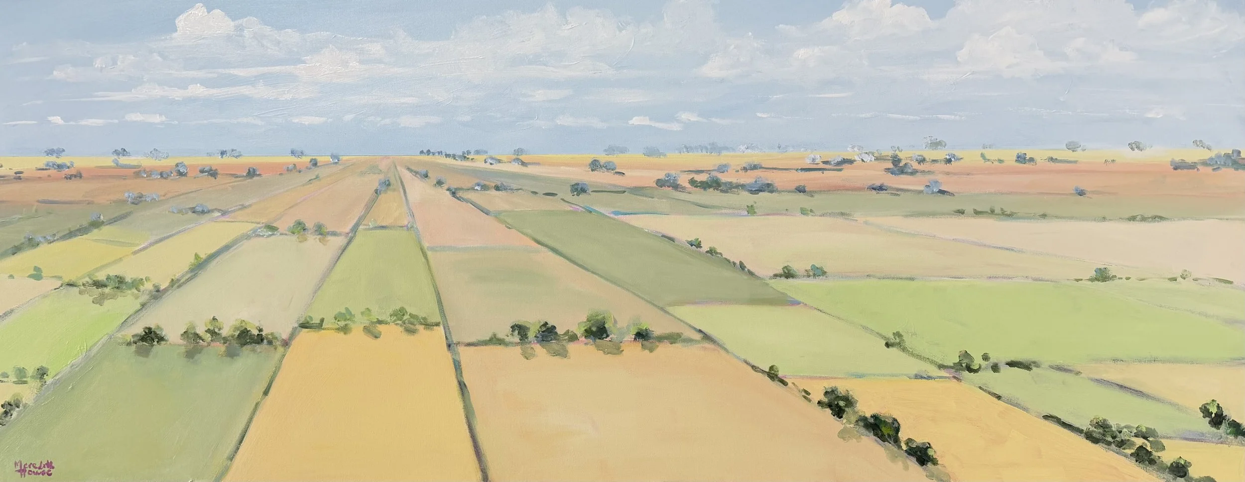 Big Country by Meredith Howse.jpeg