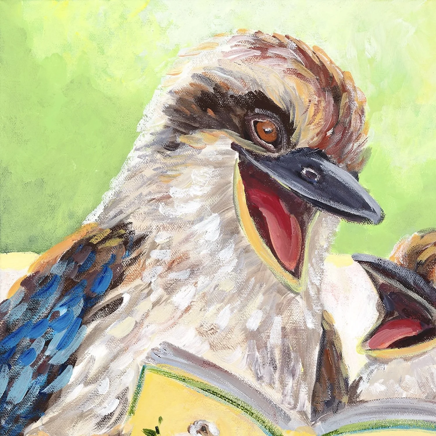 Meredith-Howse_277_Kookaburra-Laugh_Competition.jpg
