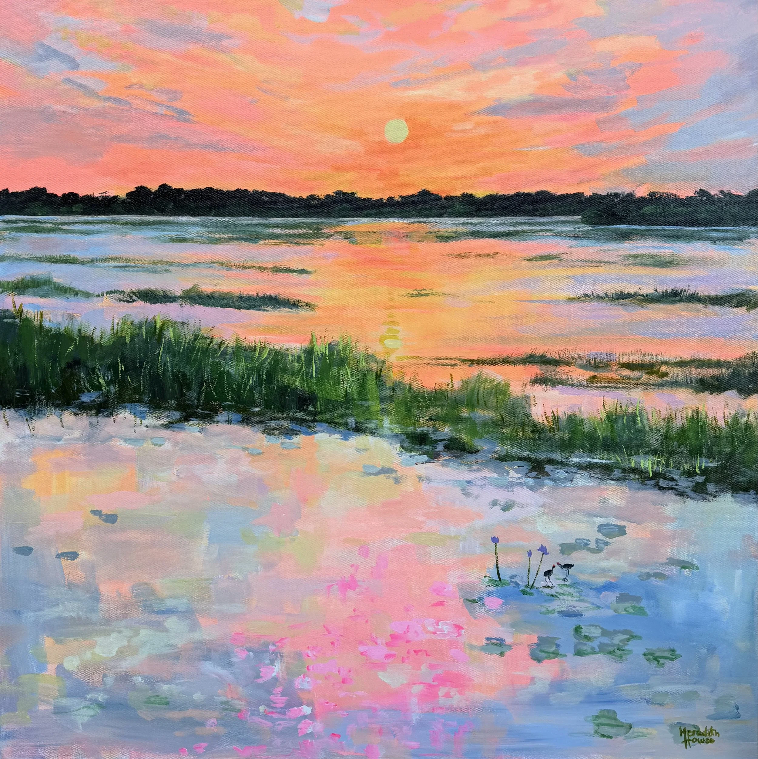 Kakadu Jacana Sunset