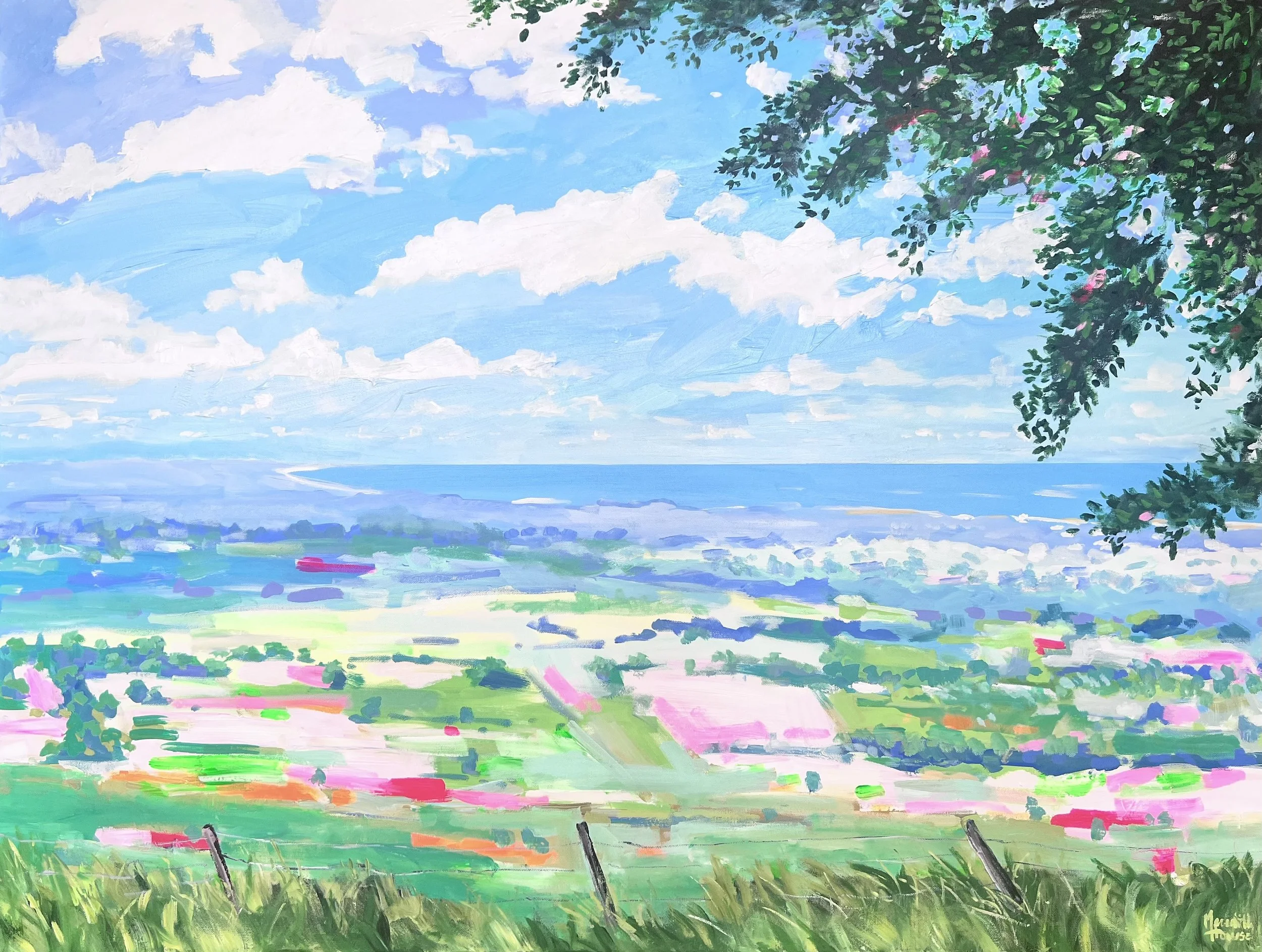 St Helena to Byron Bay by Meredith Howse.jpeg