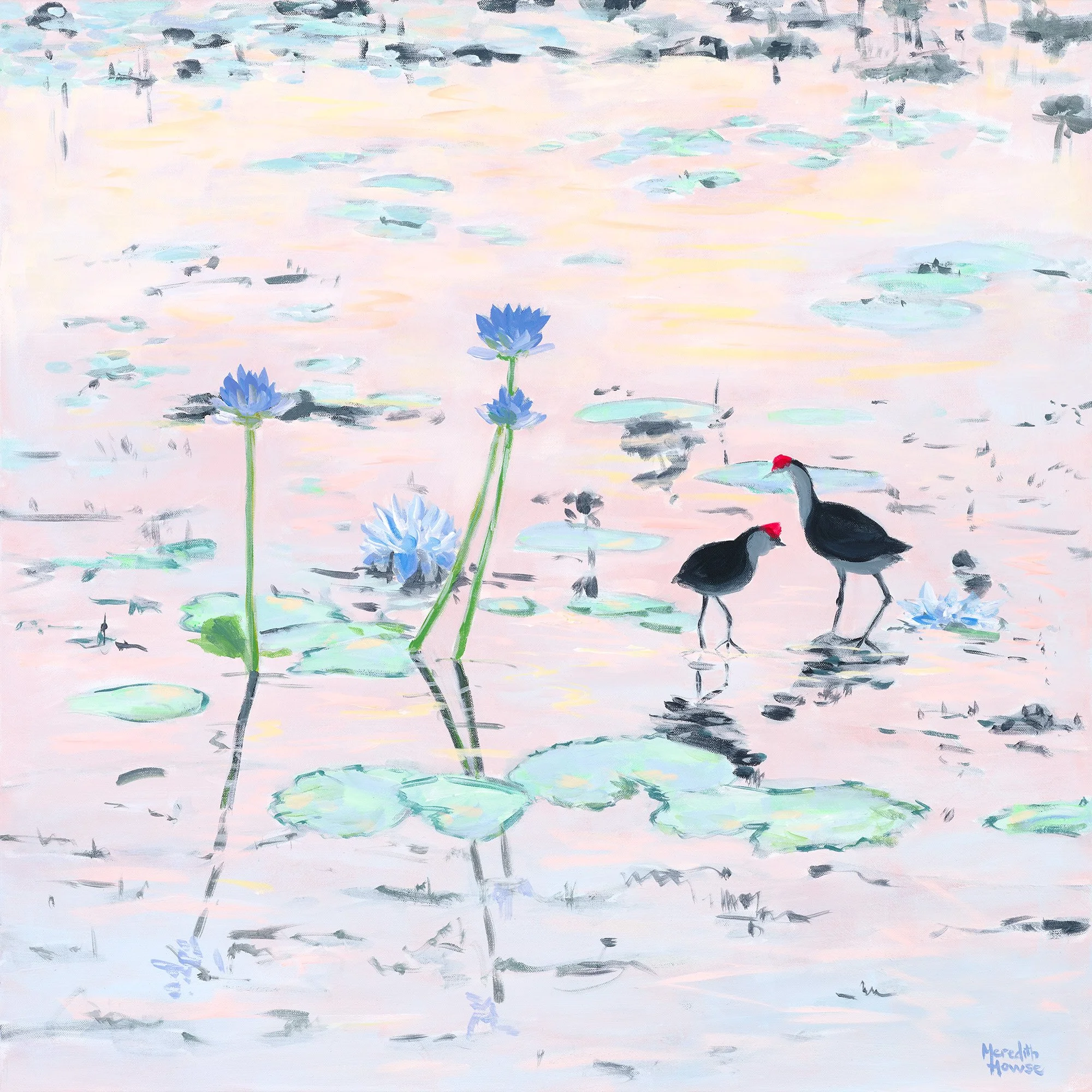 Meredith-Howse_282_Kakadu-Jacana_Competition 3.jpg