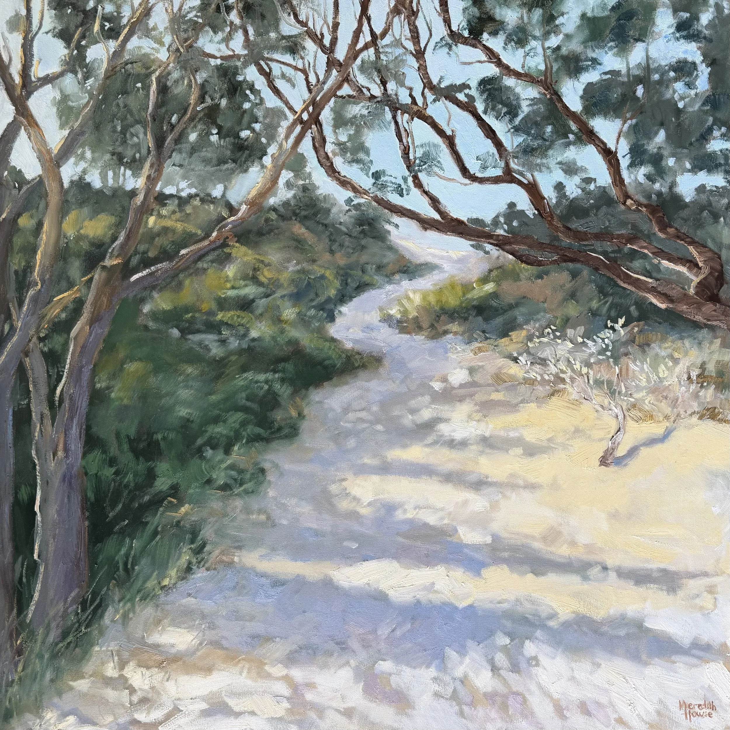 Australian Coastal Landscape