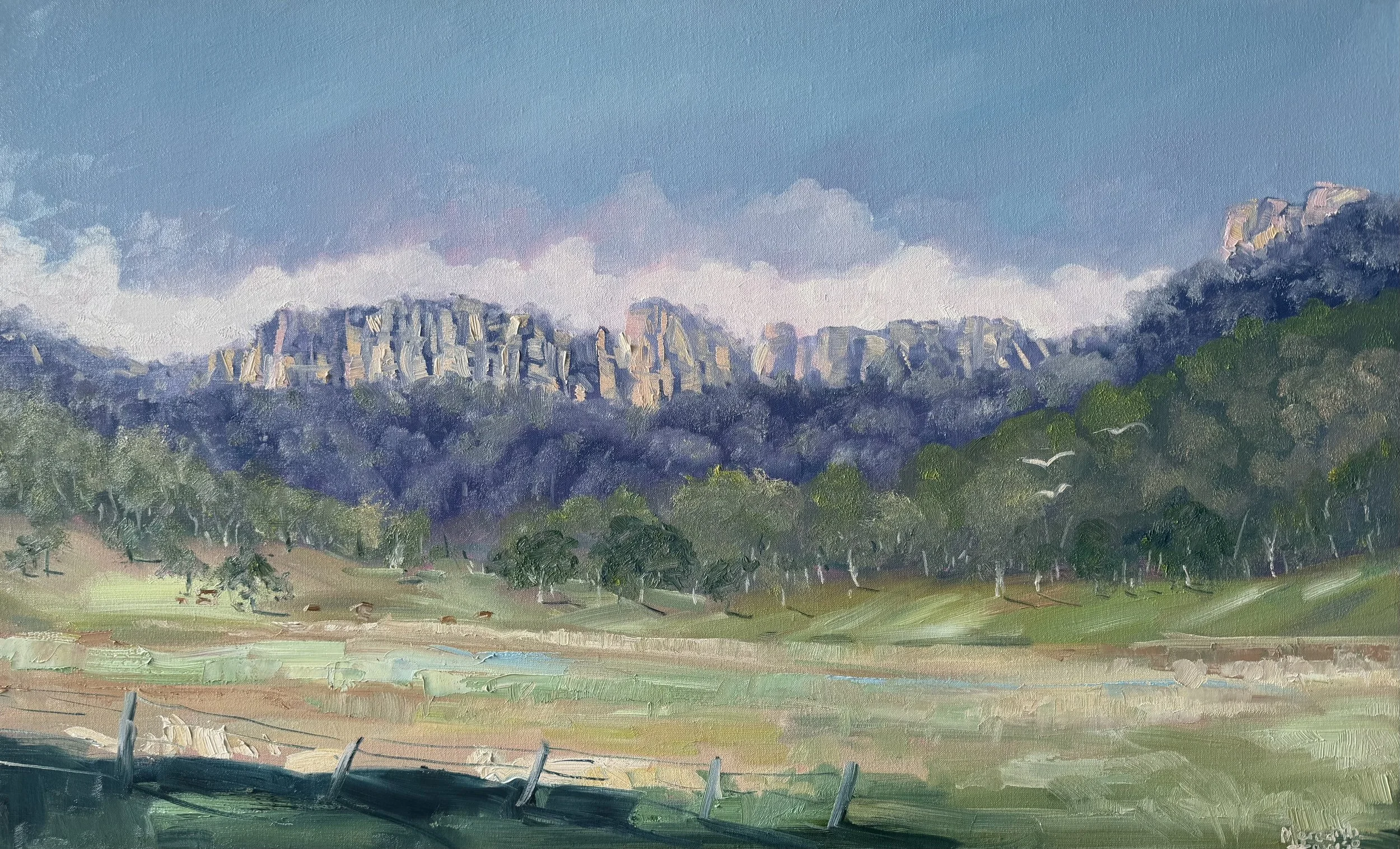 Countryside
