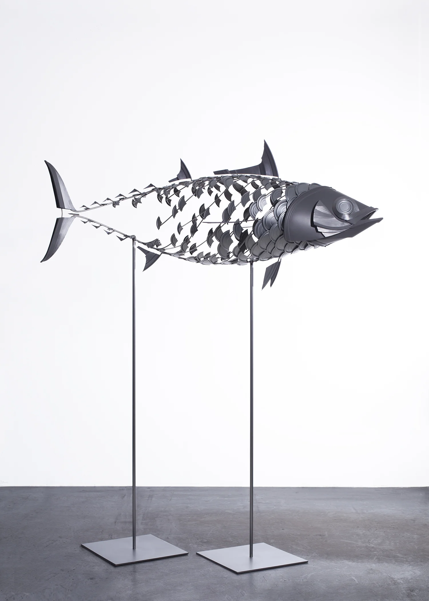 4_ganzerfisch_small.jpg