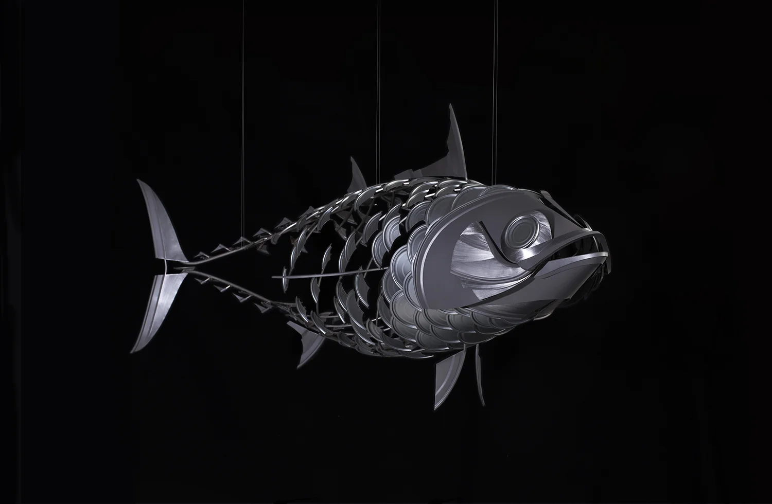 10_ganzerfisch_small.jpg