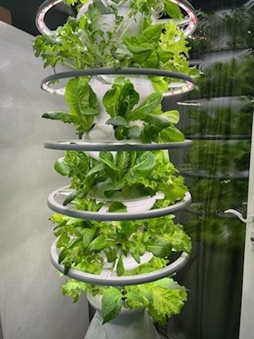 GROW FOOD IN SMALL SPACES - lettucegrow.com