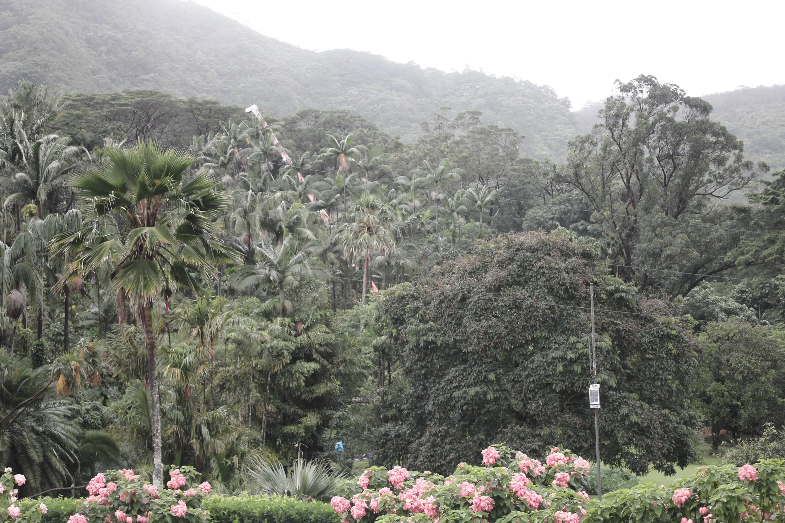 IMG_0695 copy.jpg