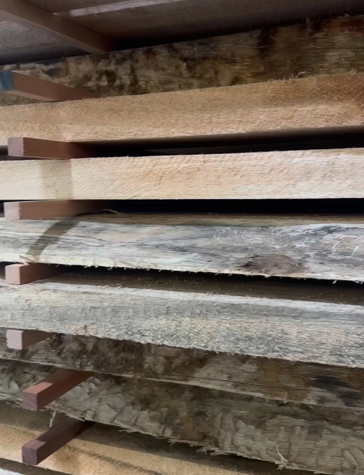 Albizia Slabs