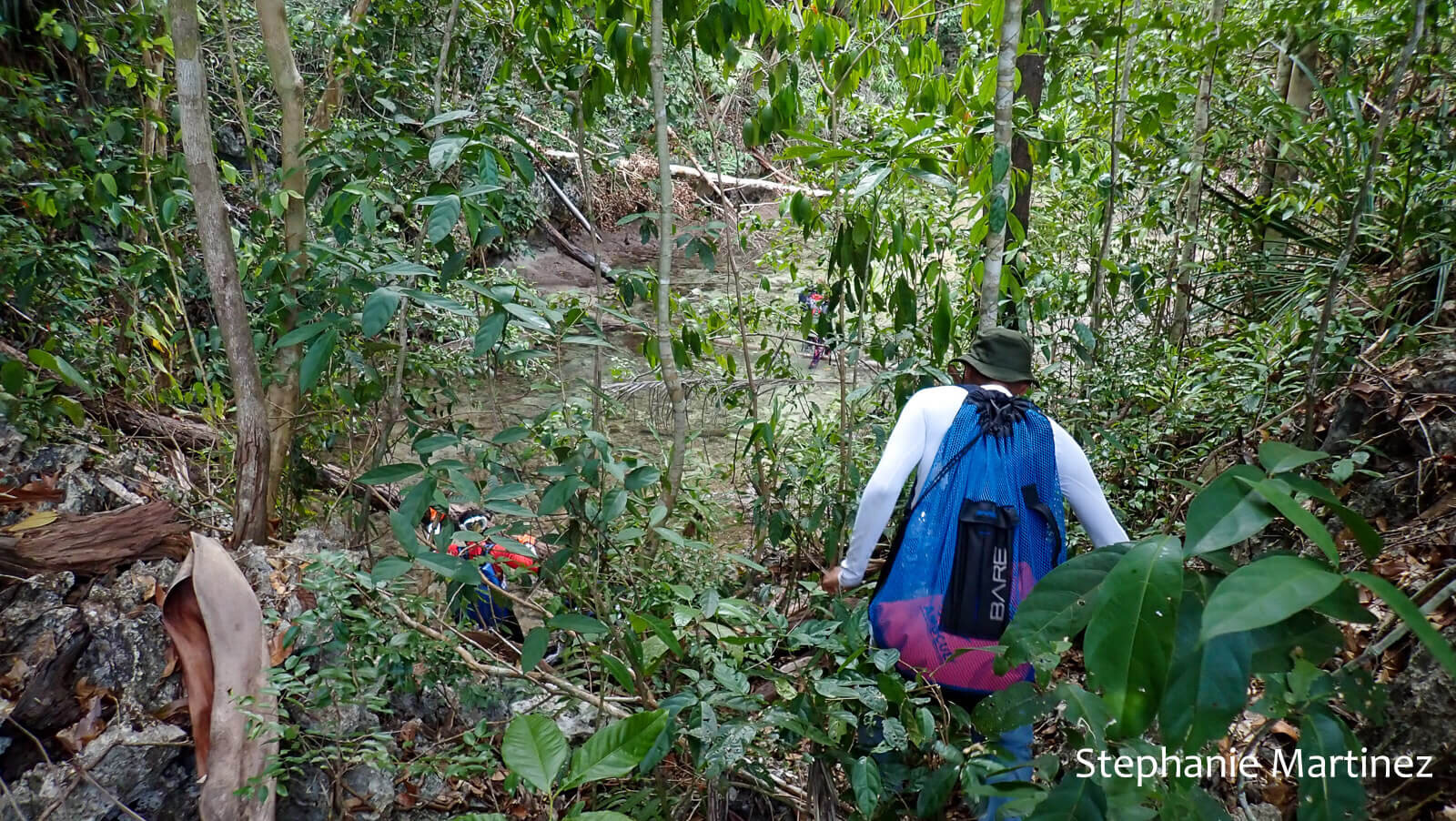 Making our way through the jungle