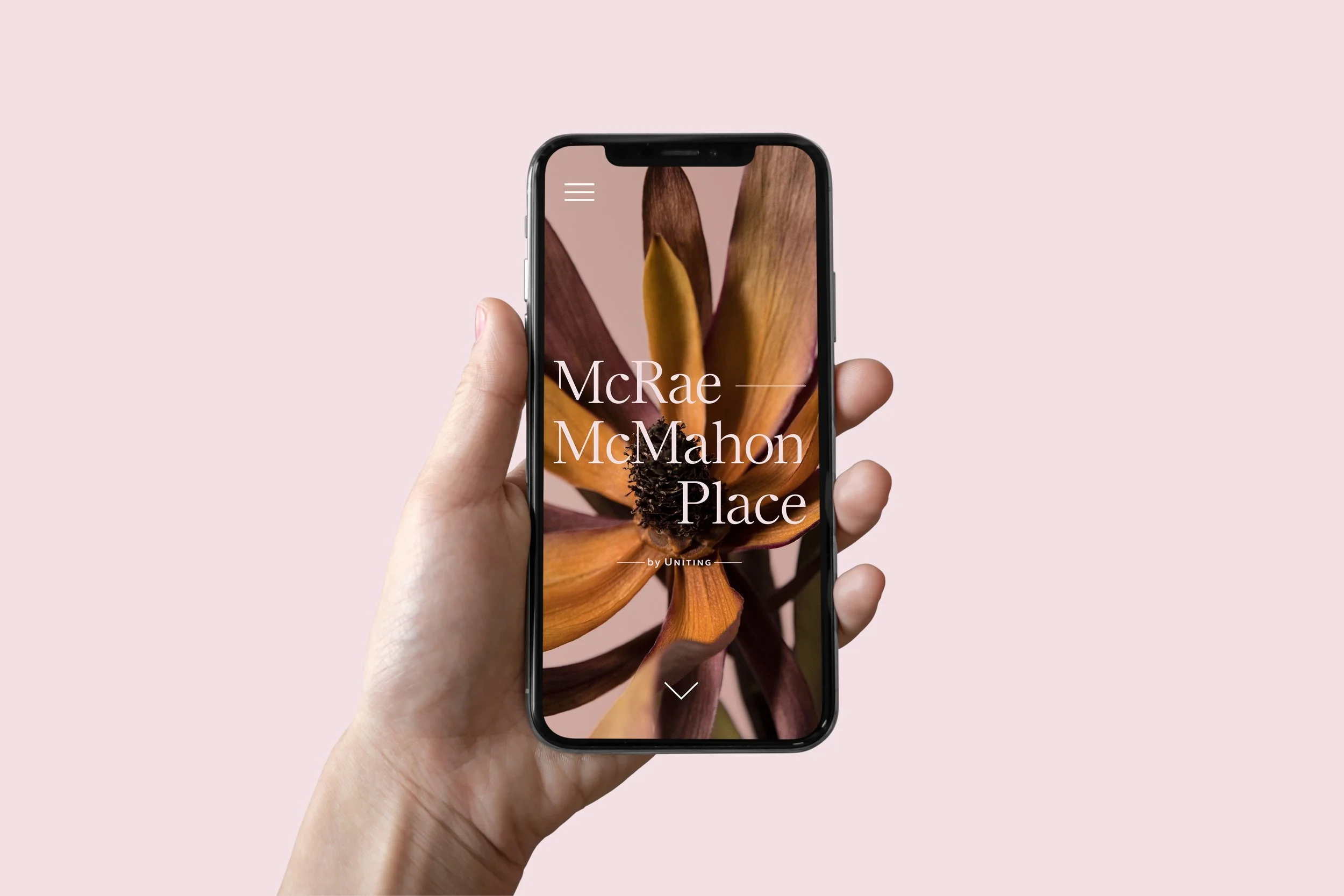 iPhone2.jpg
