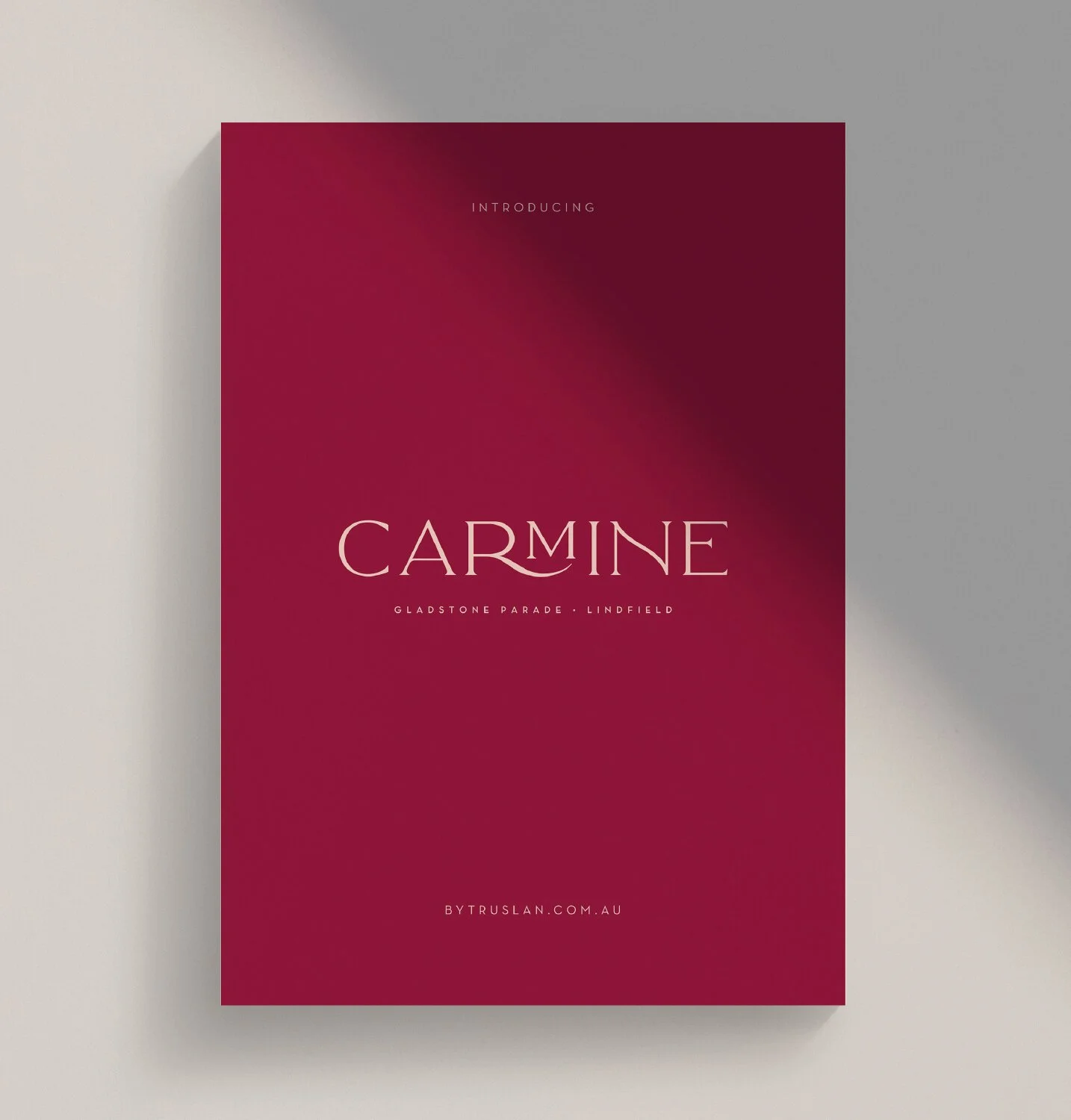 Carmine_Brochure.jpg