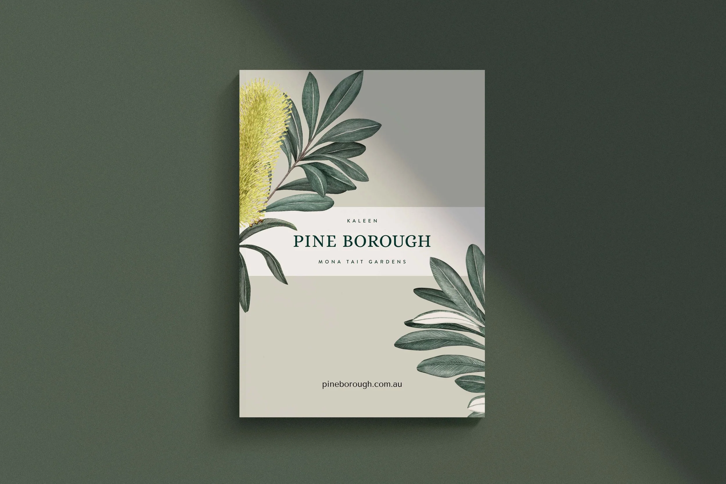 LifeCare_Brochure_Cover.jpg