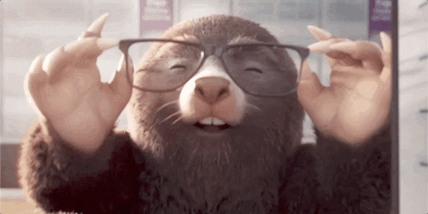 giphy-3.gif