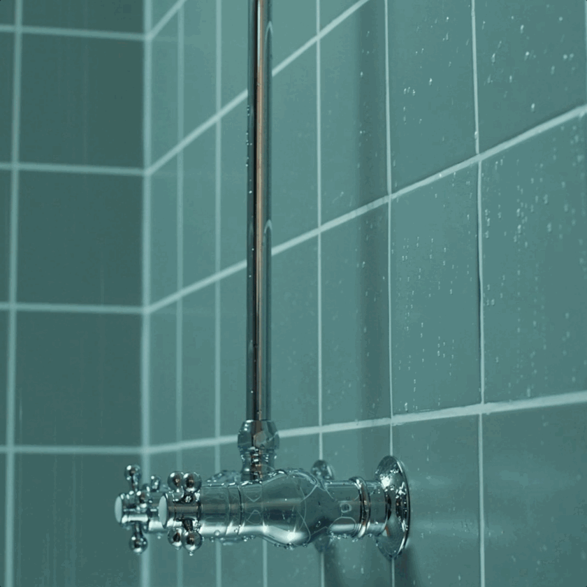Large GIF (840x840).gif