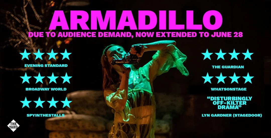 ARMADILLO-WEB-EXTENSIONDATES-1080x553.jpg