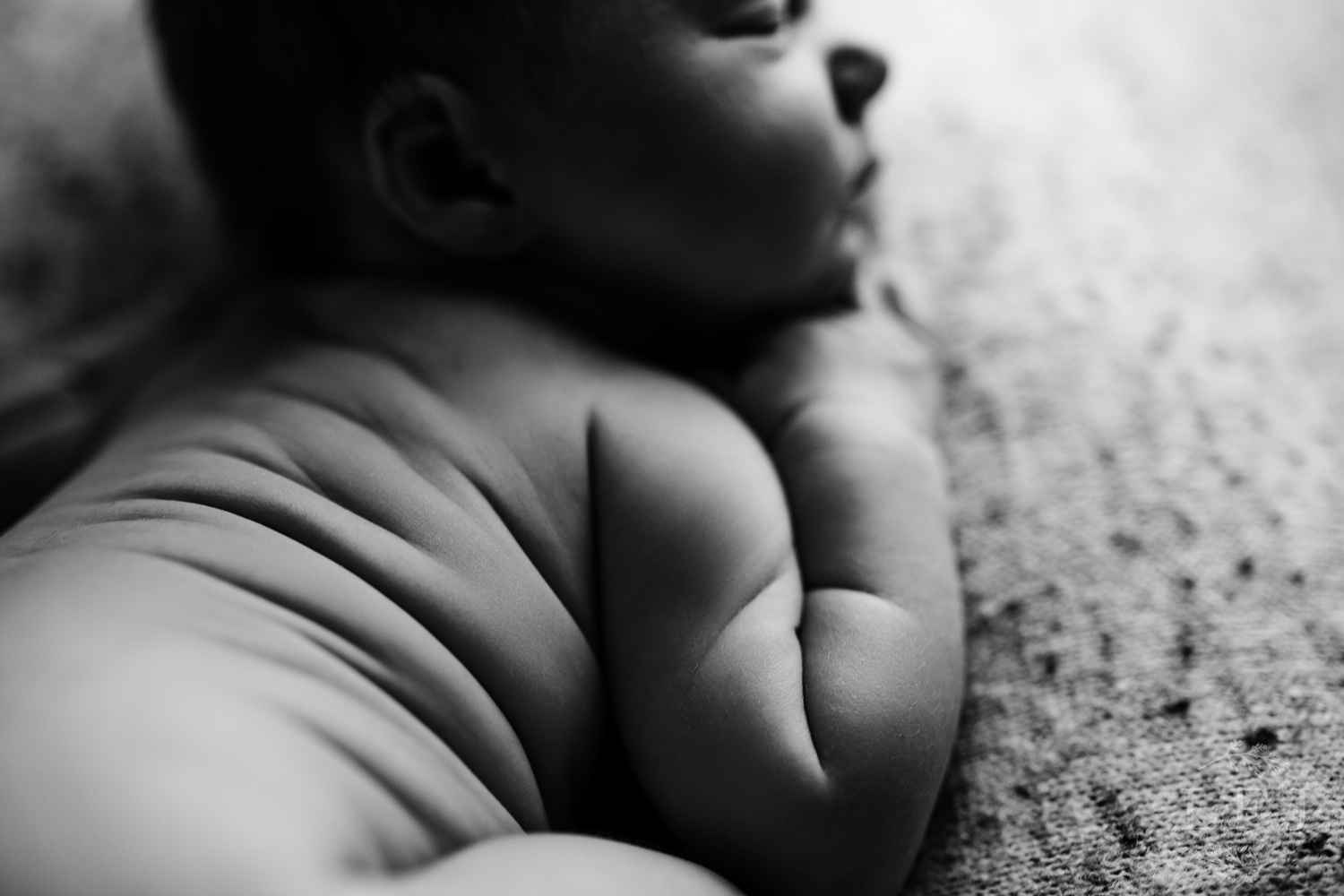 black and white image of baby rolls