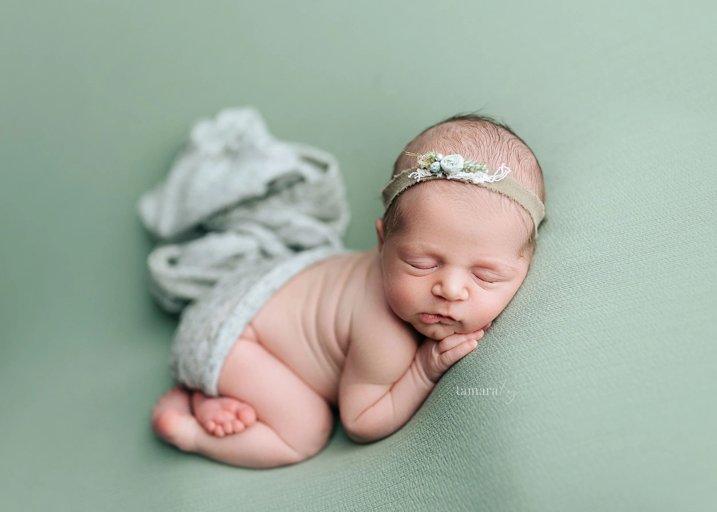 Savanah12.jpg (Copy)