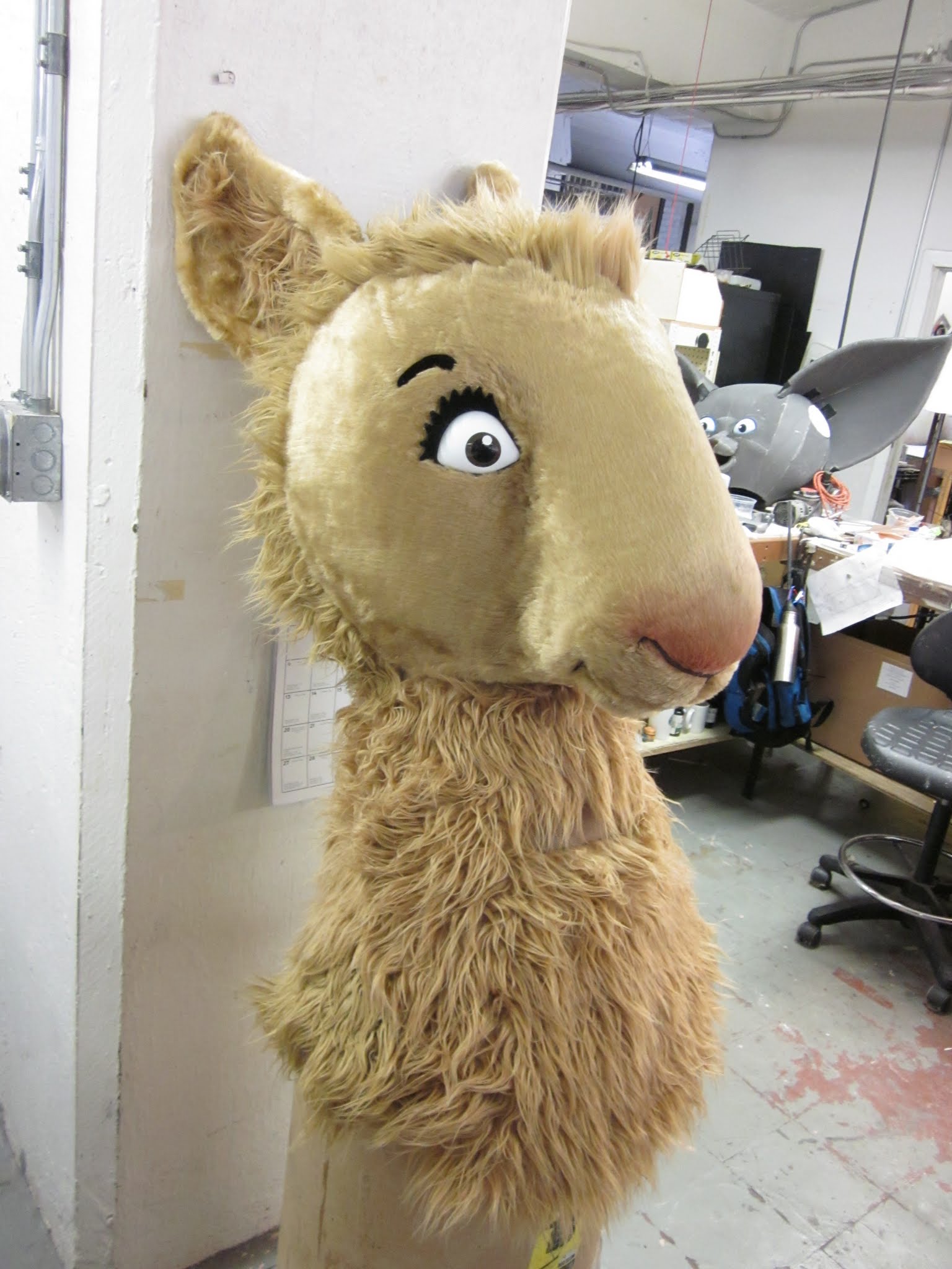 Llama Llama Head