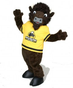 Buffalo Wild Wings