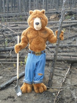 Smoked Bear