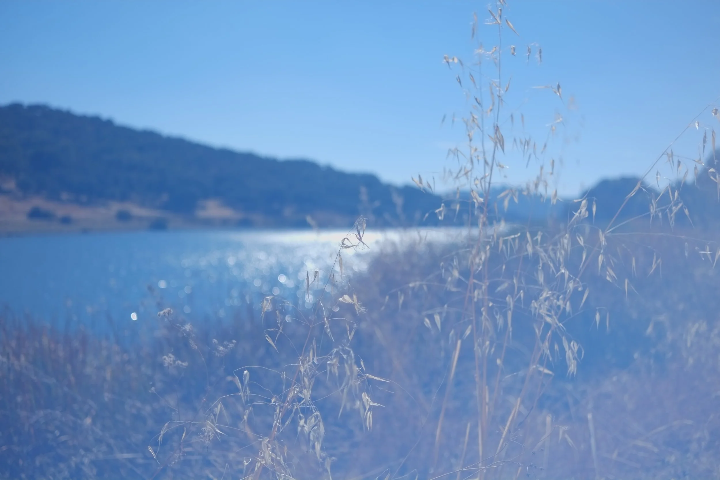DSCF2619.jpg