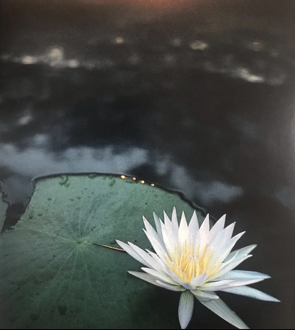 Deepening in Yoga - standard