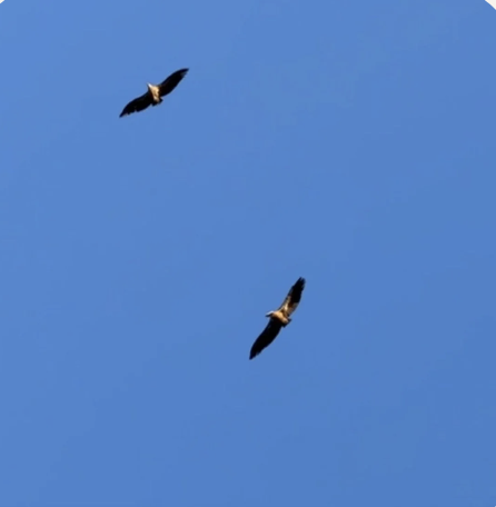 one off class donation