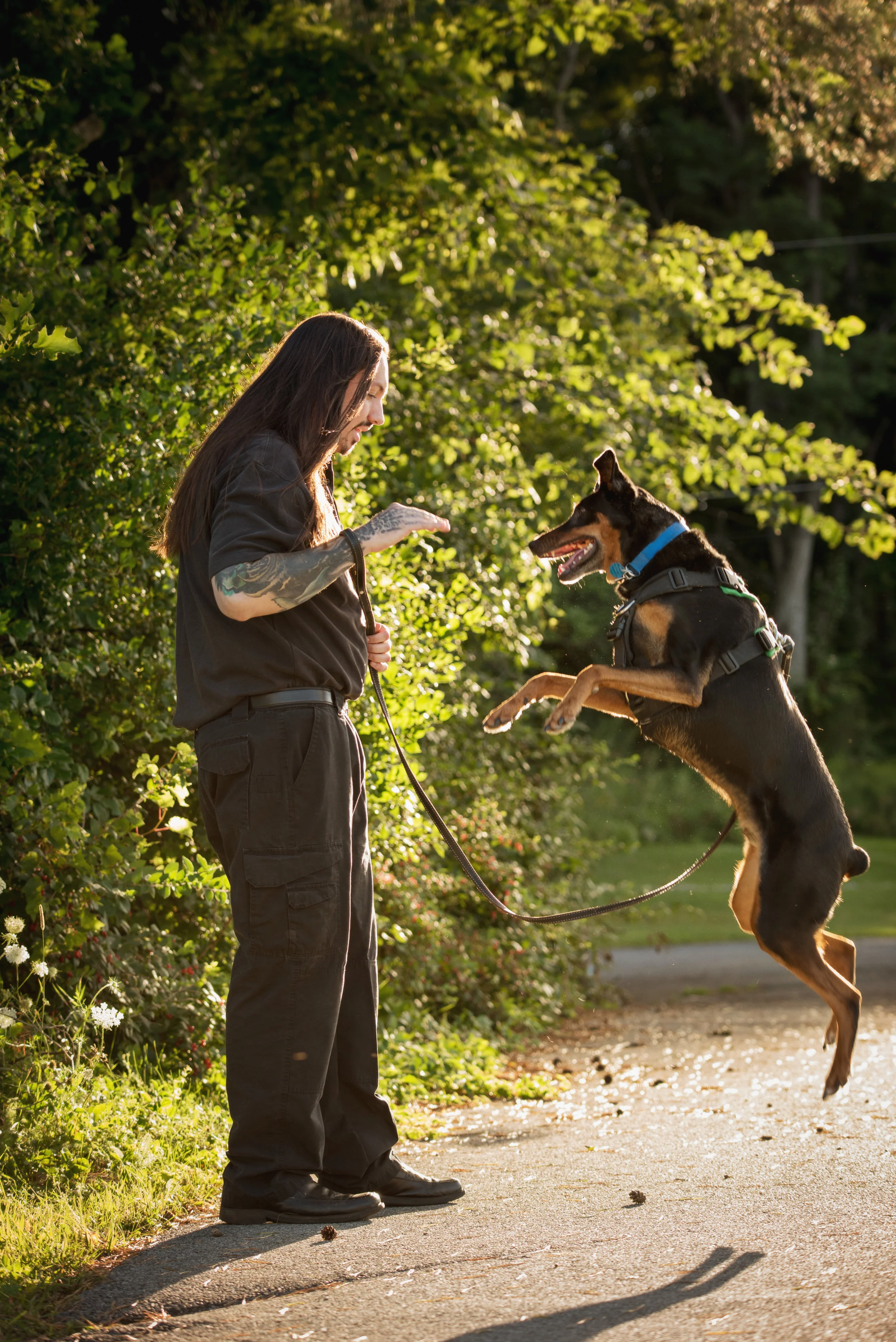 Certified Dog Training Saratoga County, NY