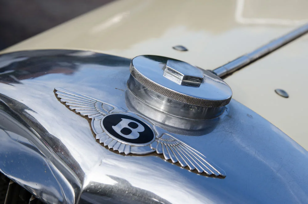 bull-6.jpg