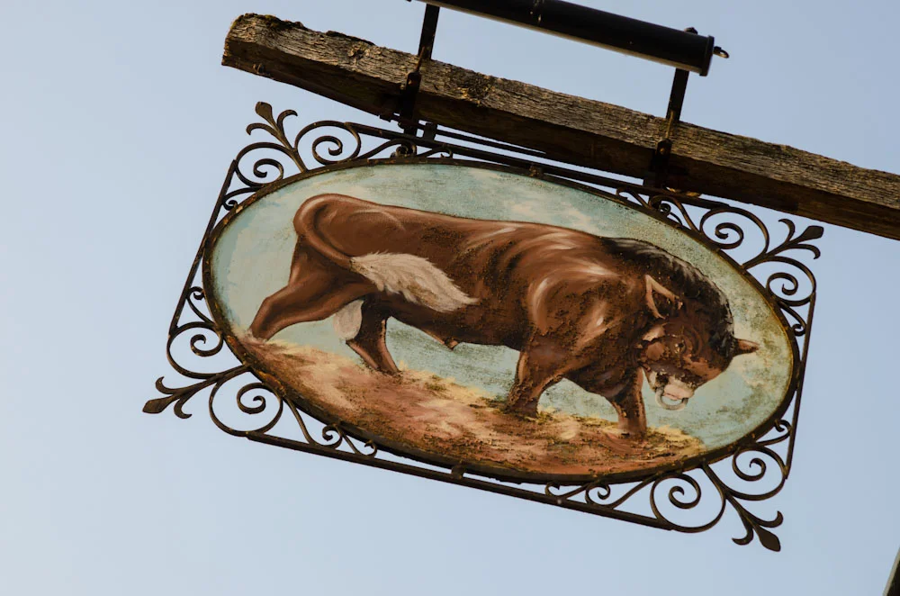 bull-28.jpg