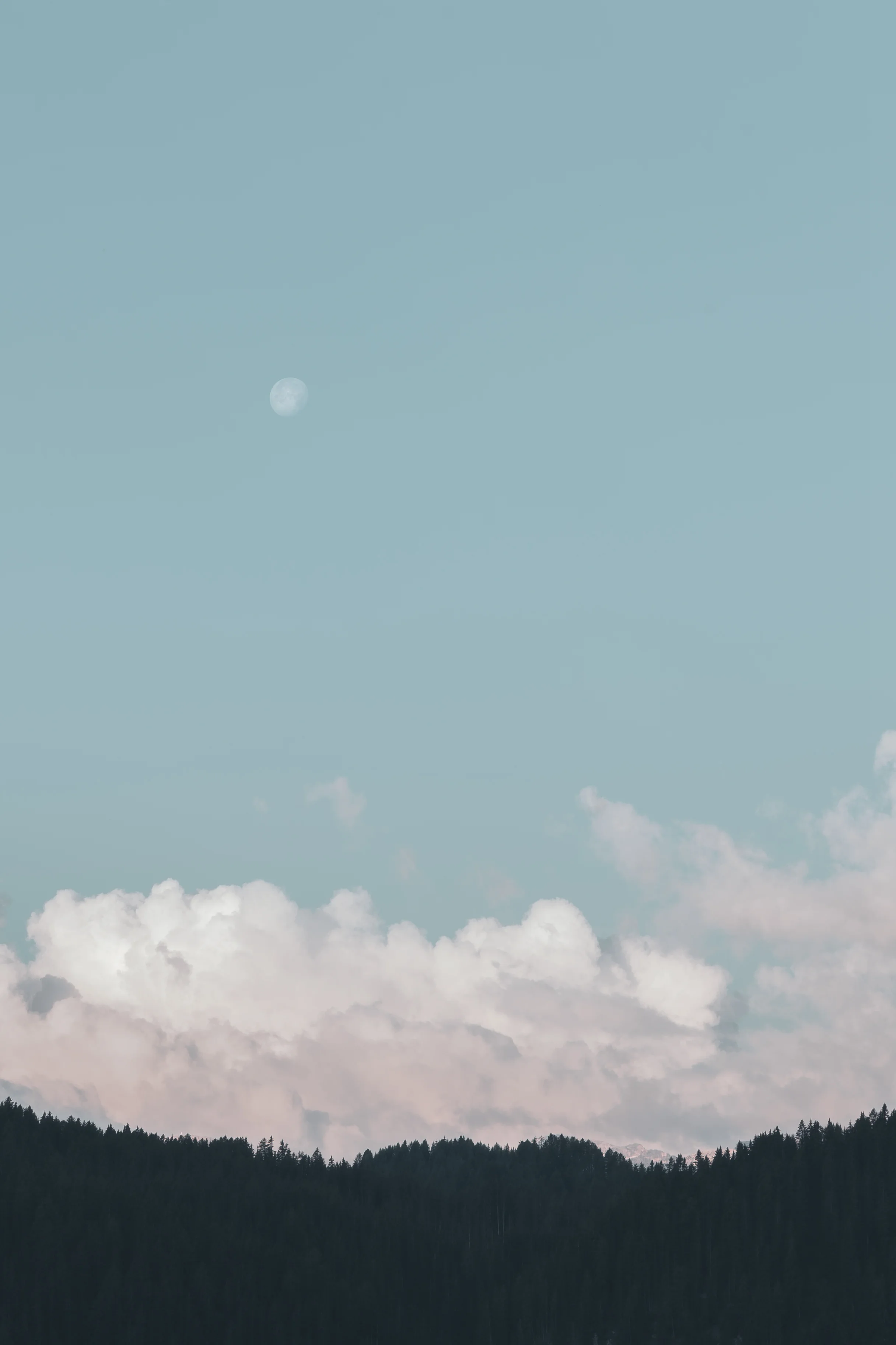 Photo: Name