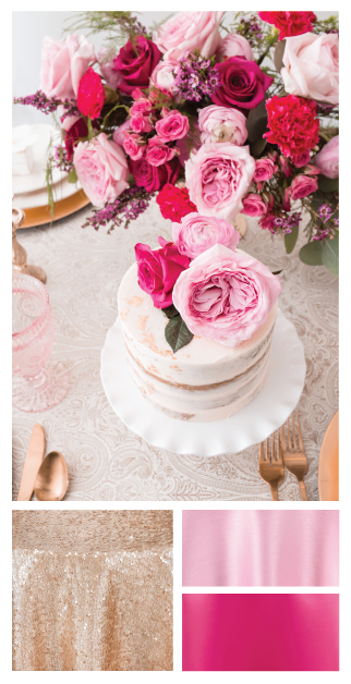 12-10-17-color palette-01-01-01.png