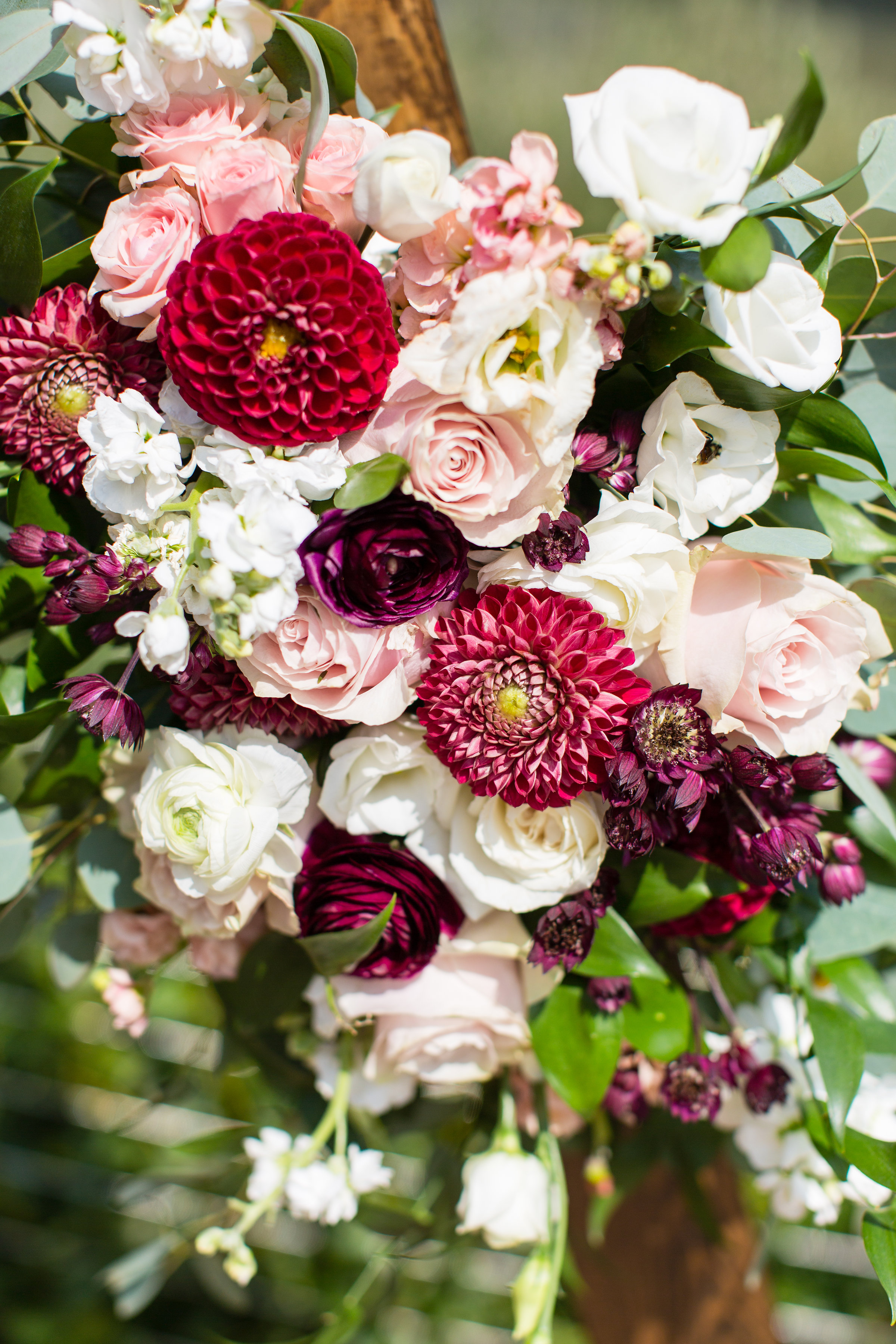 Svet-and-Adrienne-wedding2018(307).jpg